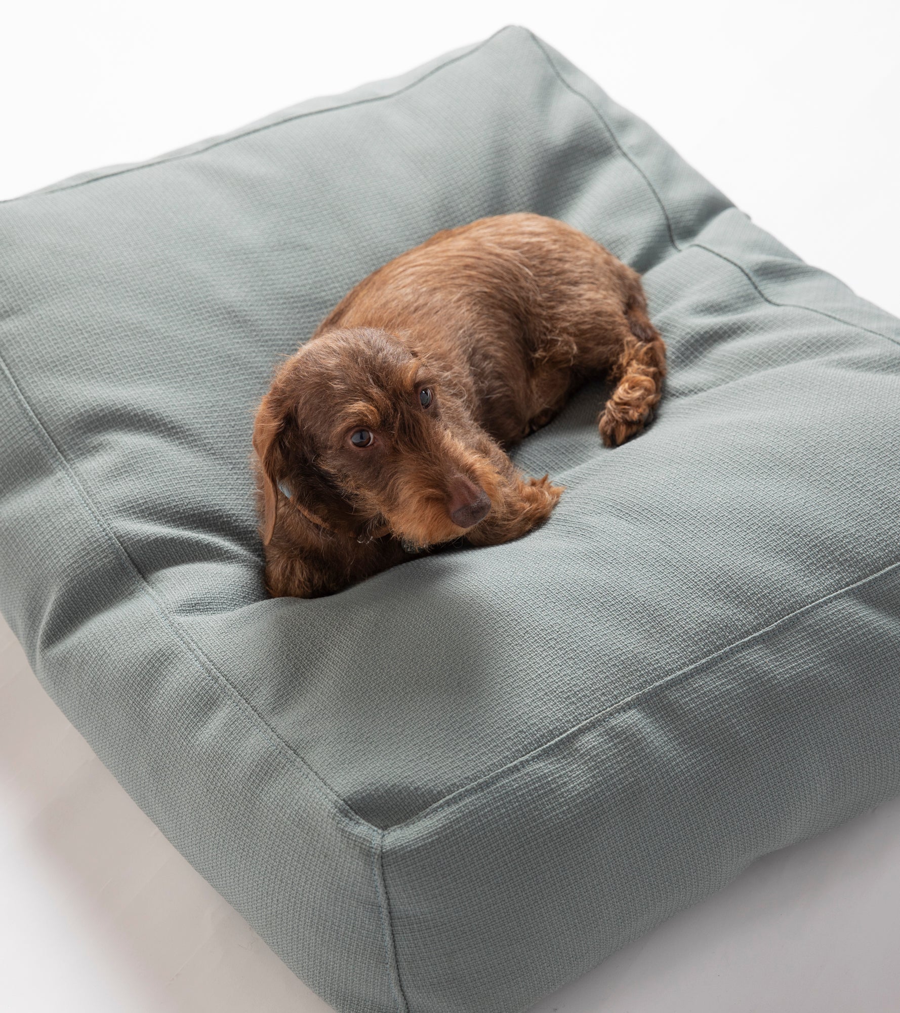 Yousuf – Reviva Dog Cushion