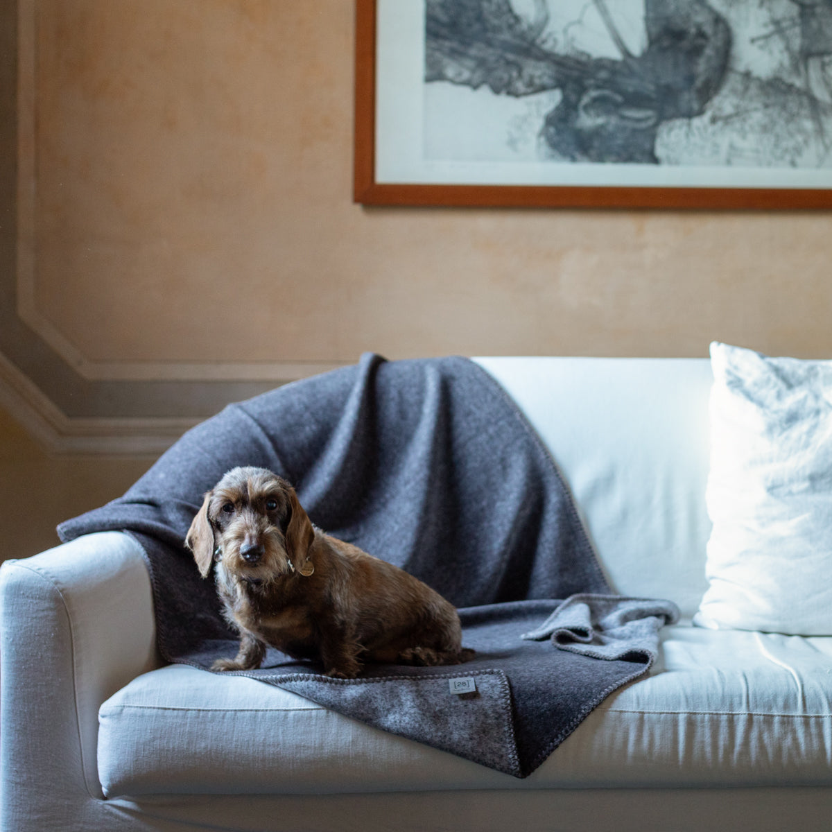 Yuki - Bamboo Blanket