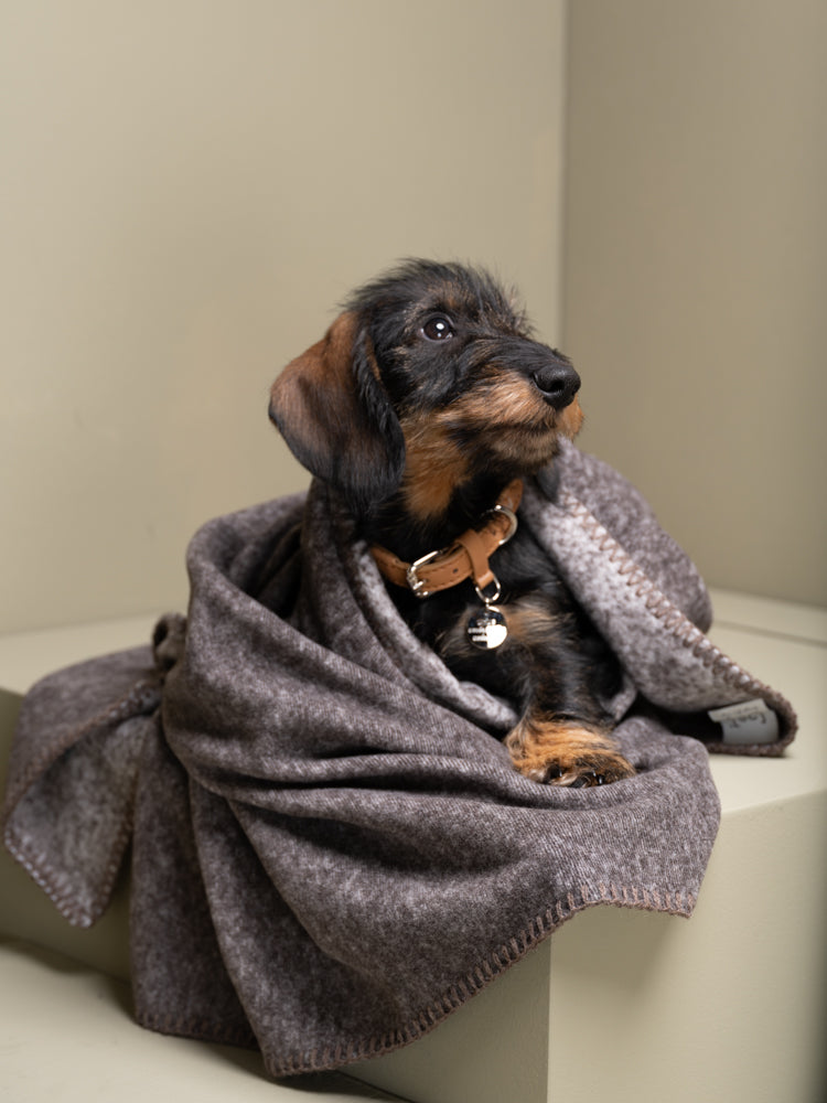 Yuki - Coperta per cani di bambù
