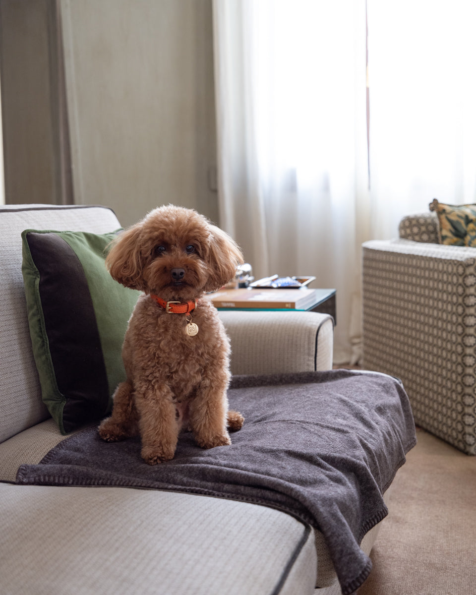 Yuki - Coperta per cani di bambù