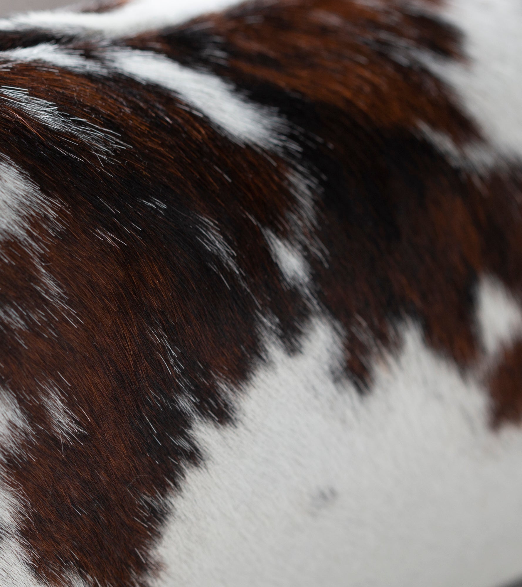 Henri - Cowhide Leather Bed