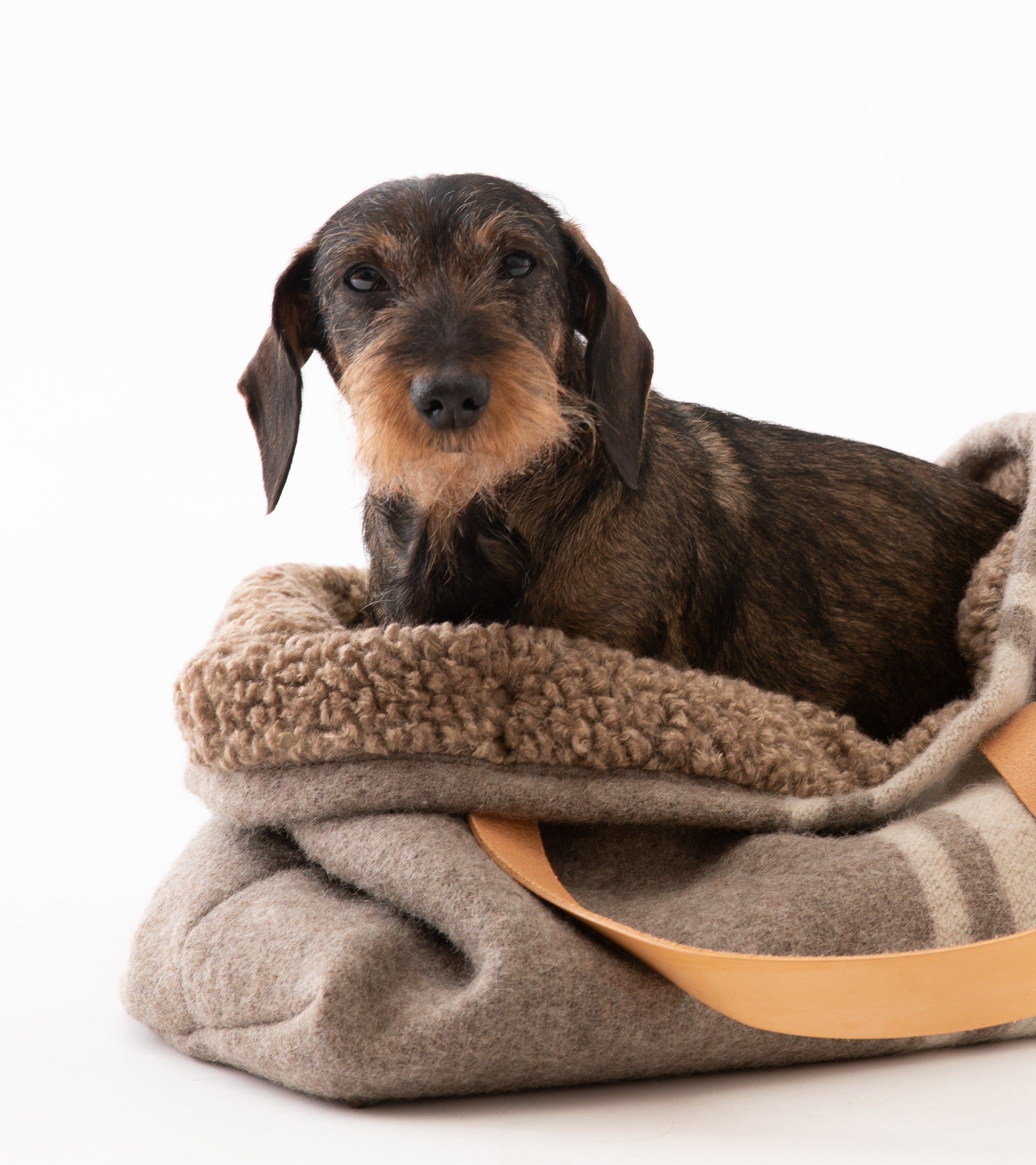 Inge - Borsa per cani in lana riciclata