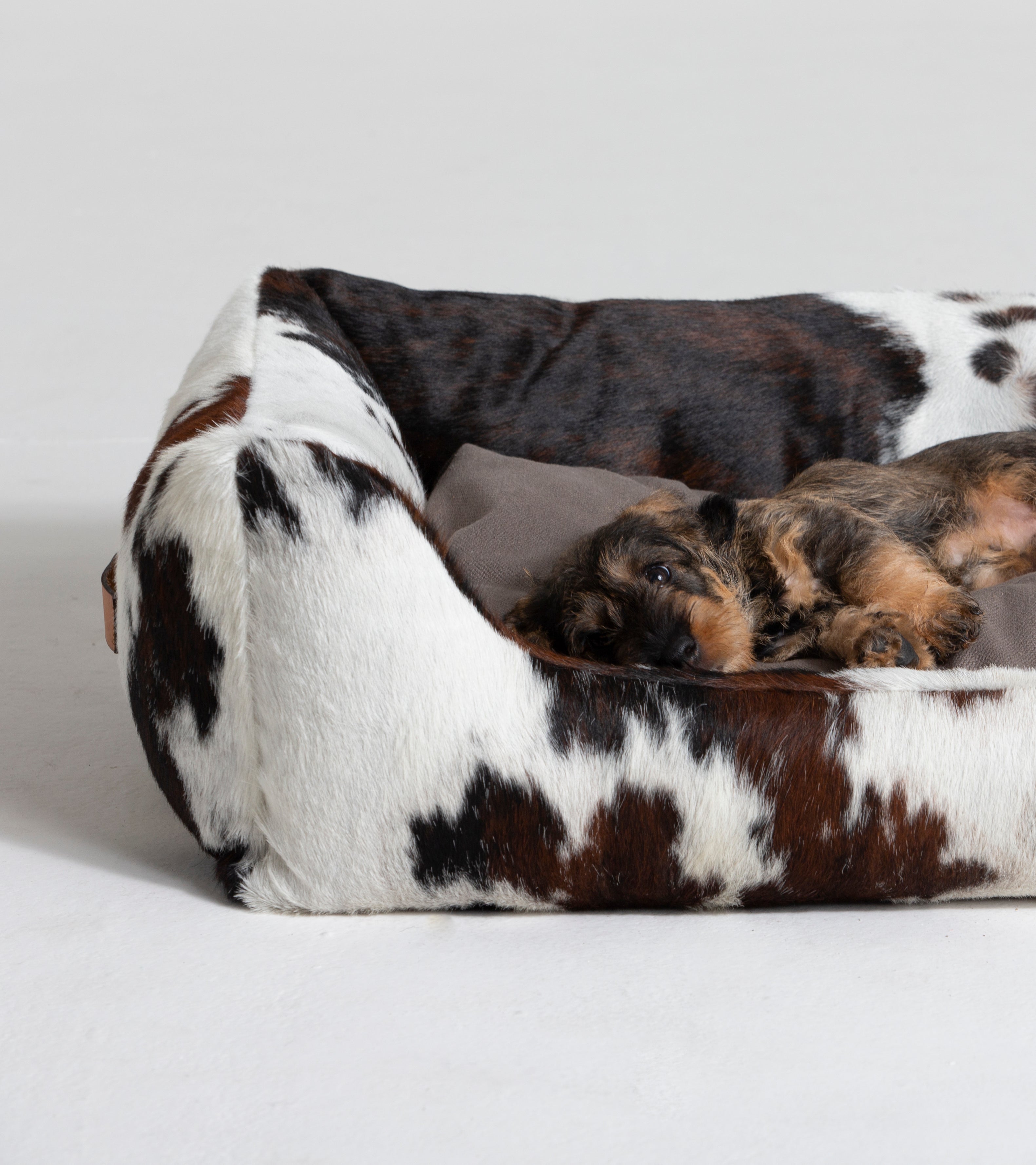 Henri - Cowhide Leather Bed