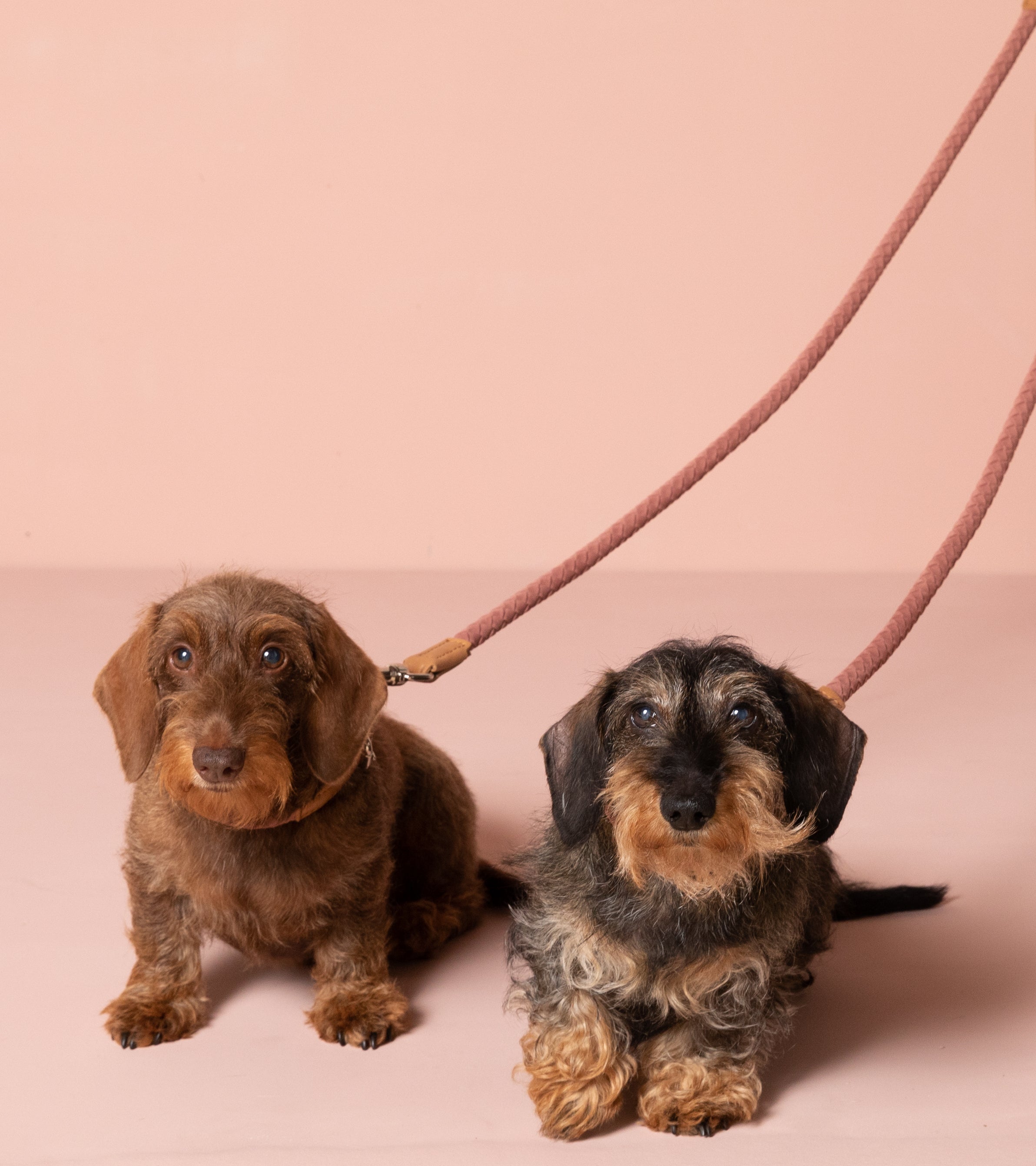 Ferdinando - Guinzaglio in microfibra Rosa&Blue