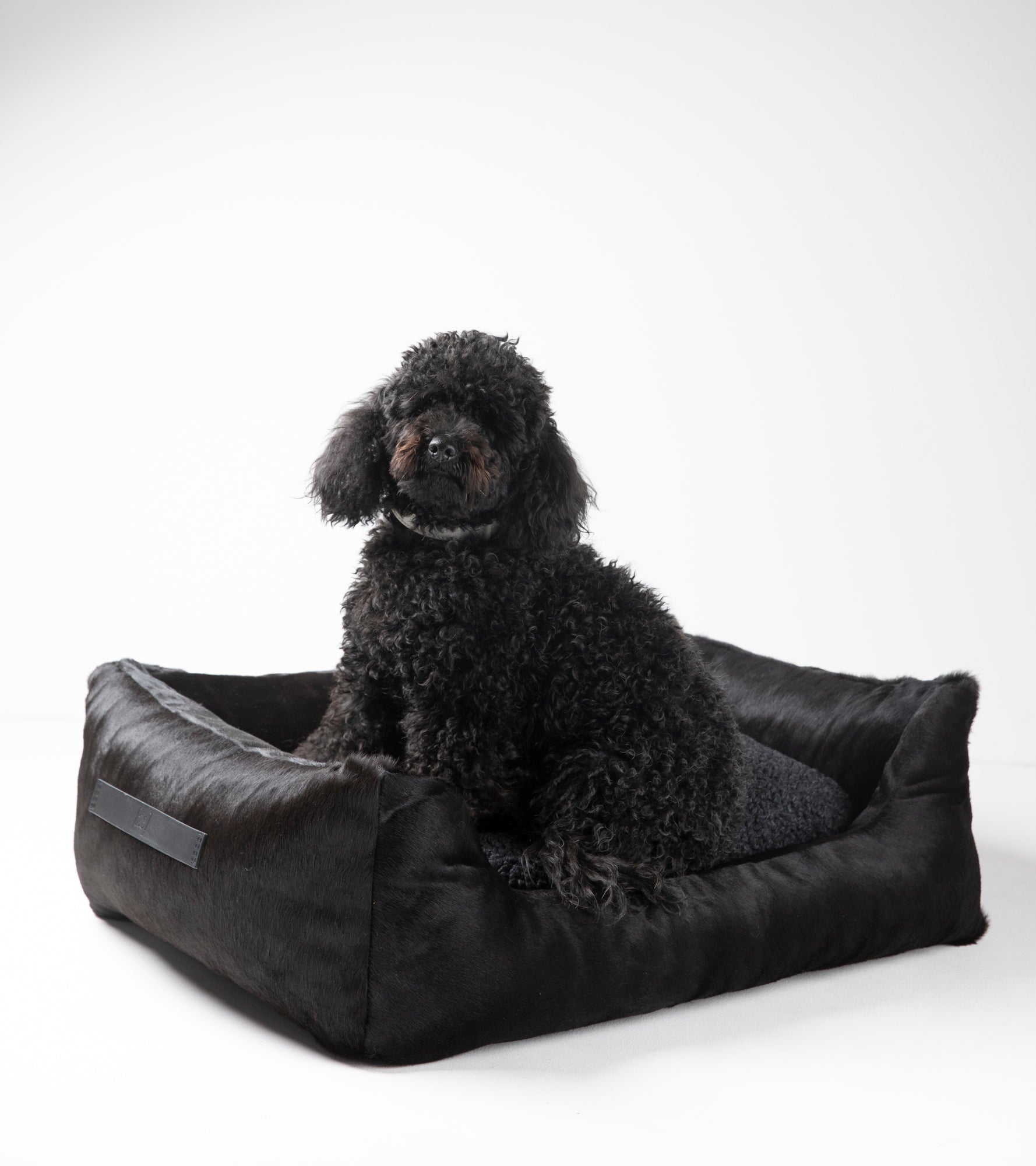 Henri - Cowhide Leather Bed