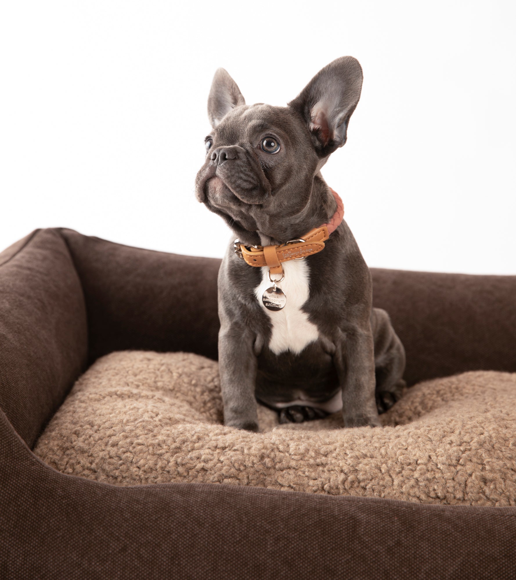 Henri - cuccia in cotone organico