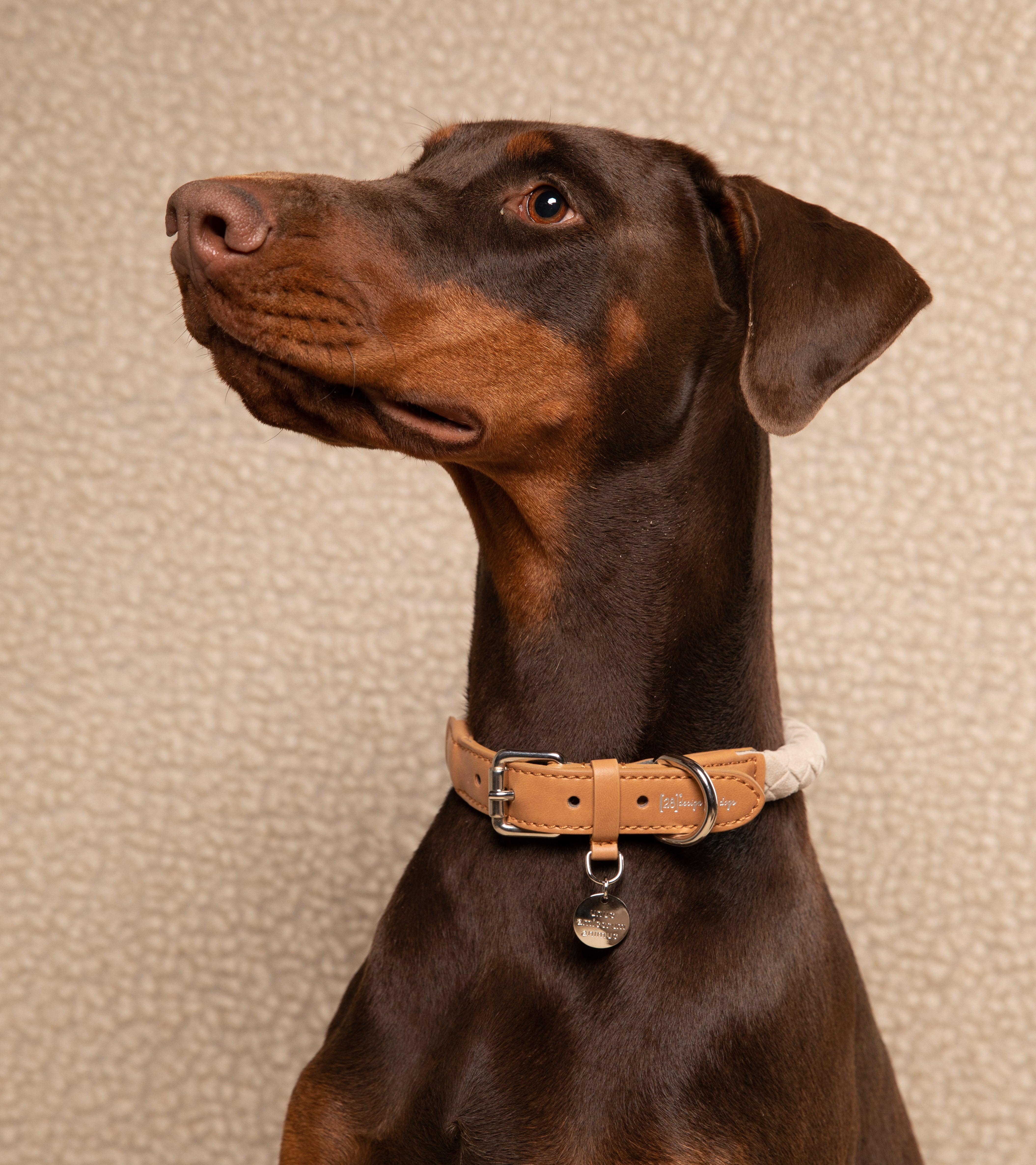 Ferdinando - Collare in Microfibra