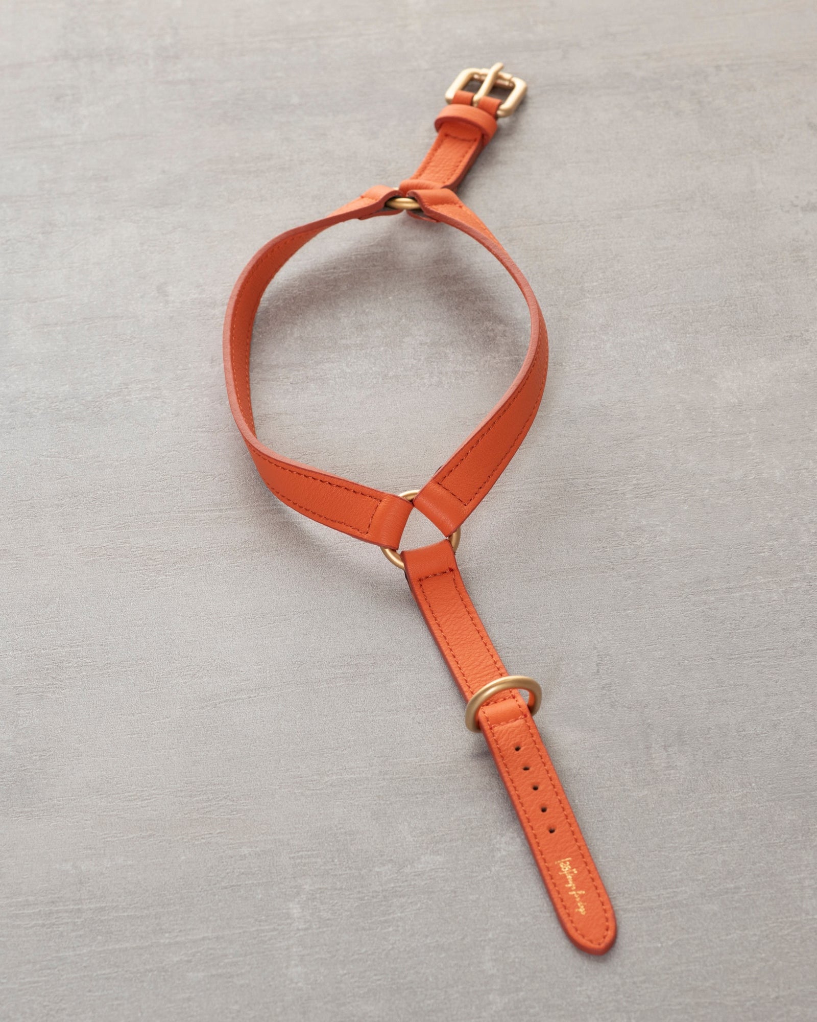 Mario – Step-In Hundegeschirr aus Leder