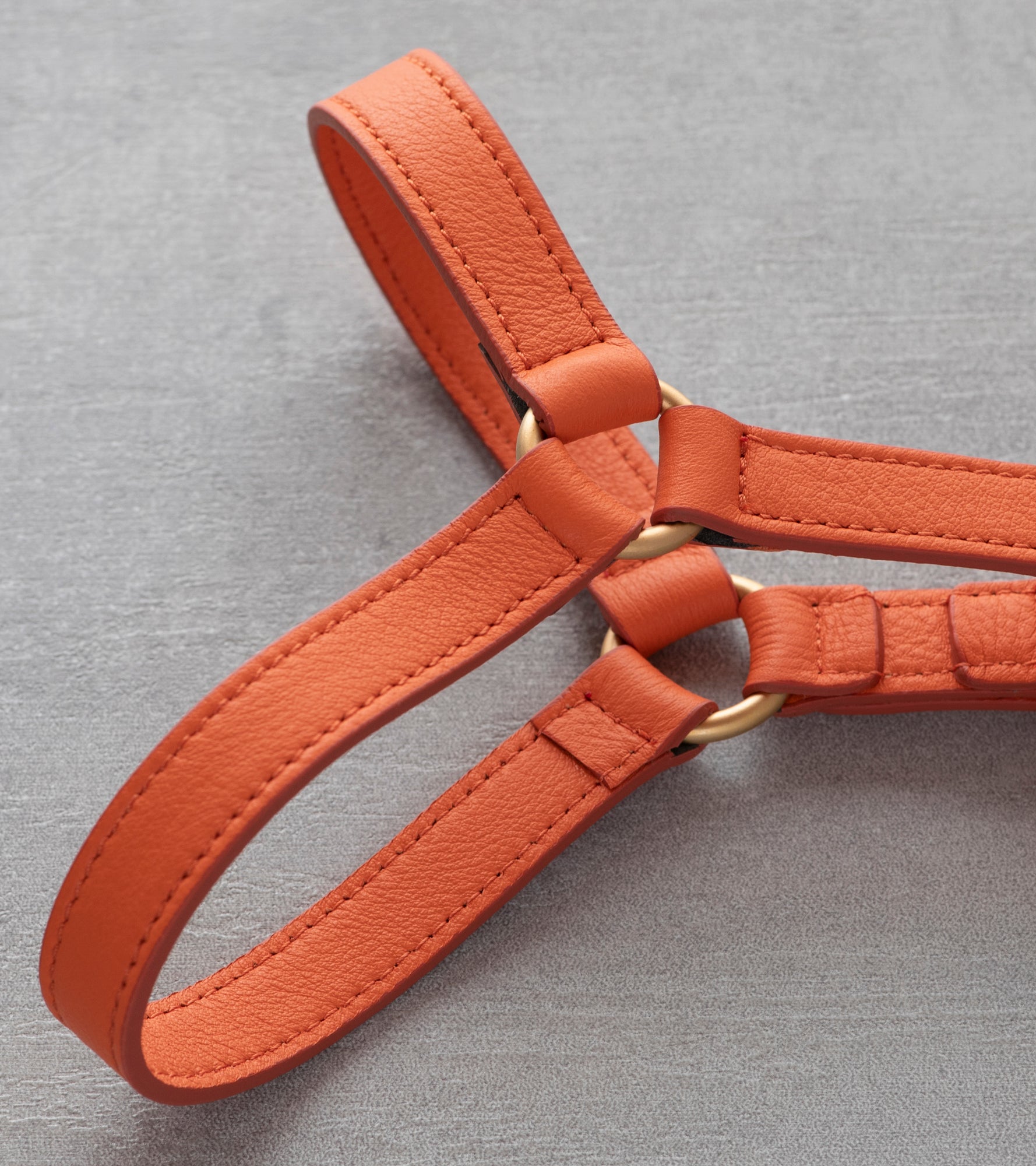 Mario – Step-In Leather Dog Harness