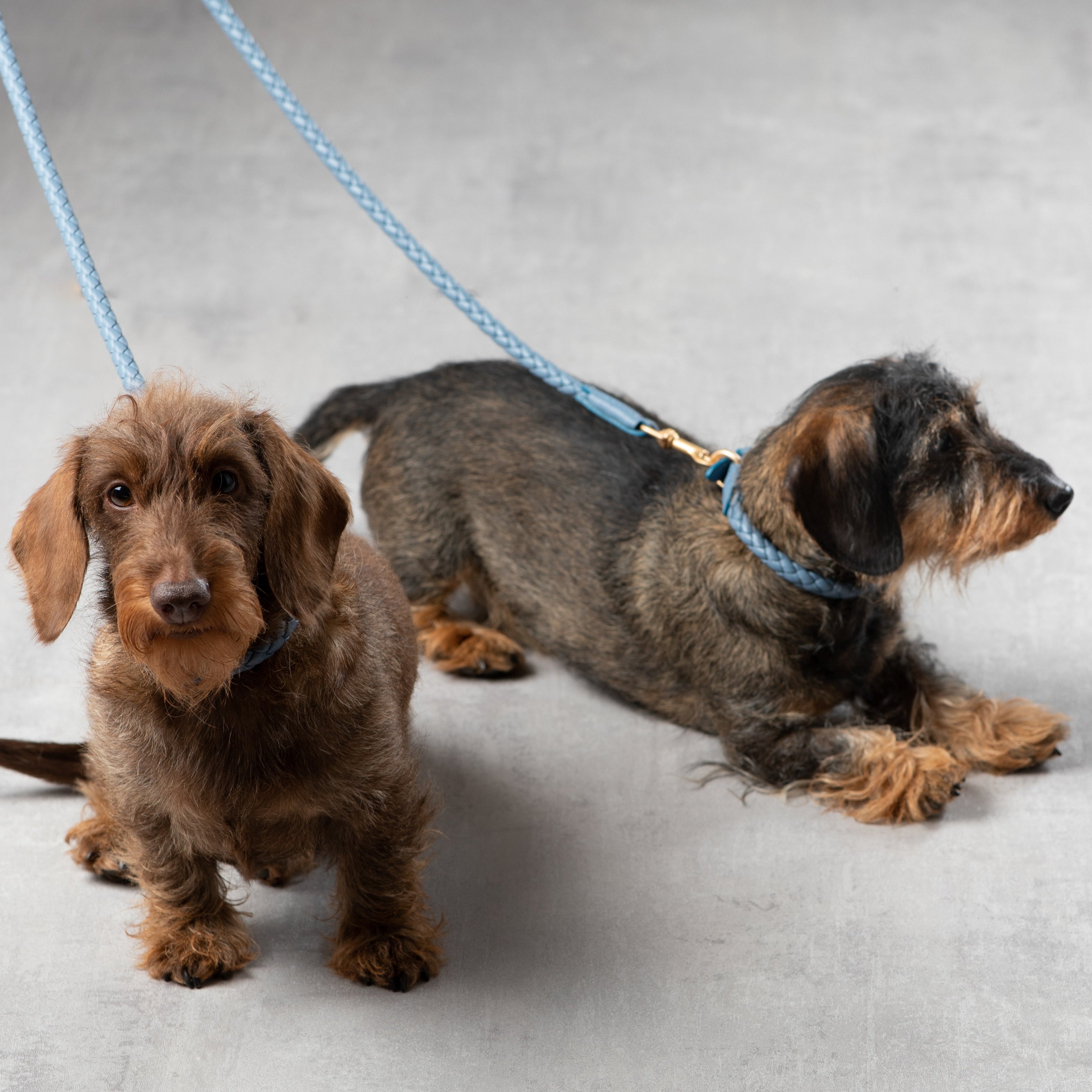 Ferdinando - Braided Leather Leash