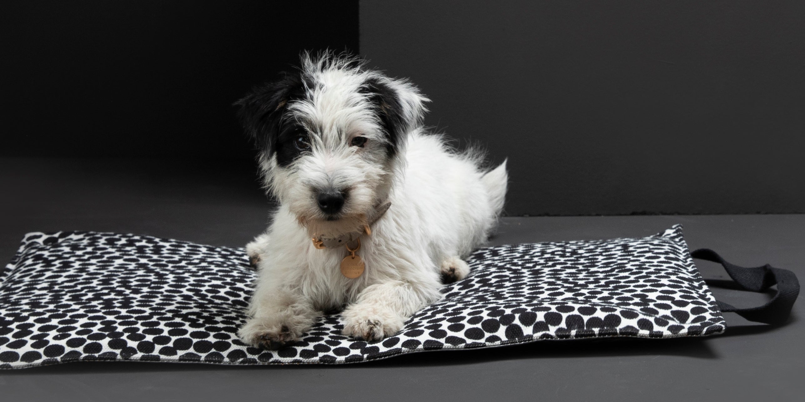 Herb DOTTO di Paola NAVONE - Tappetino da viaggio in carta cerata