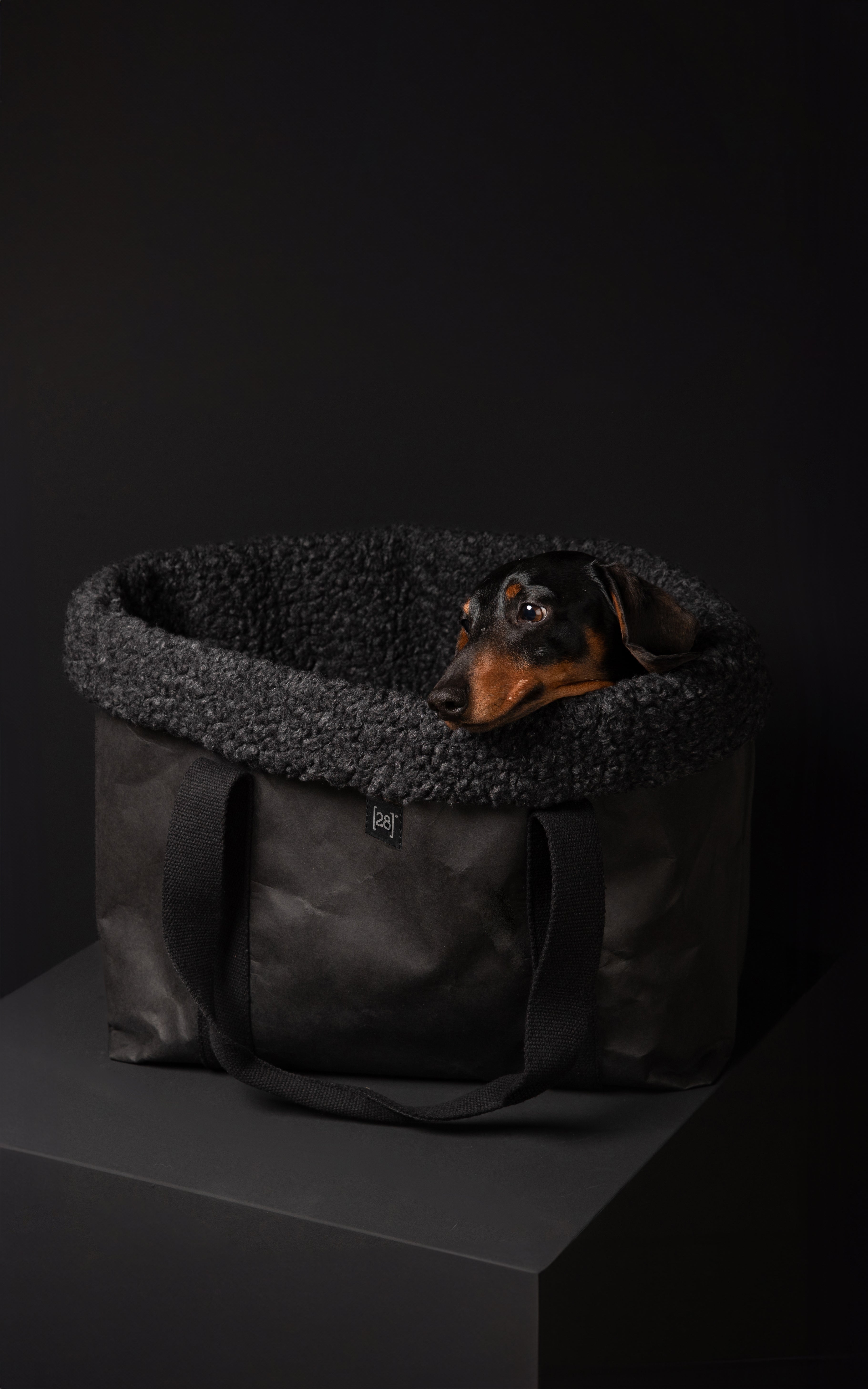 Dorothea Charcoal – Borsa per cani in lana bouclé