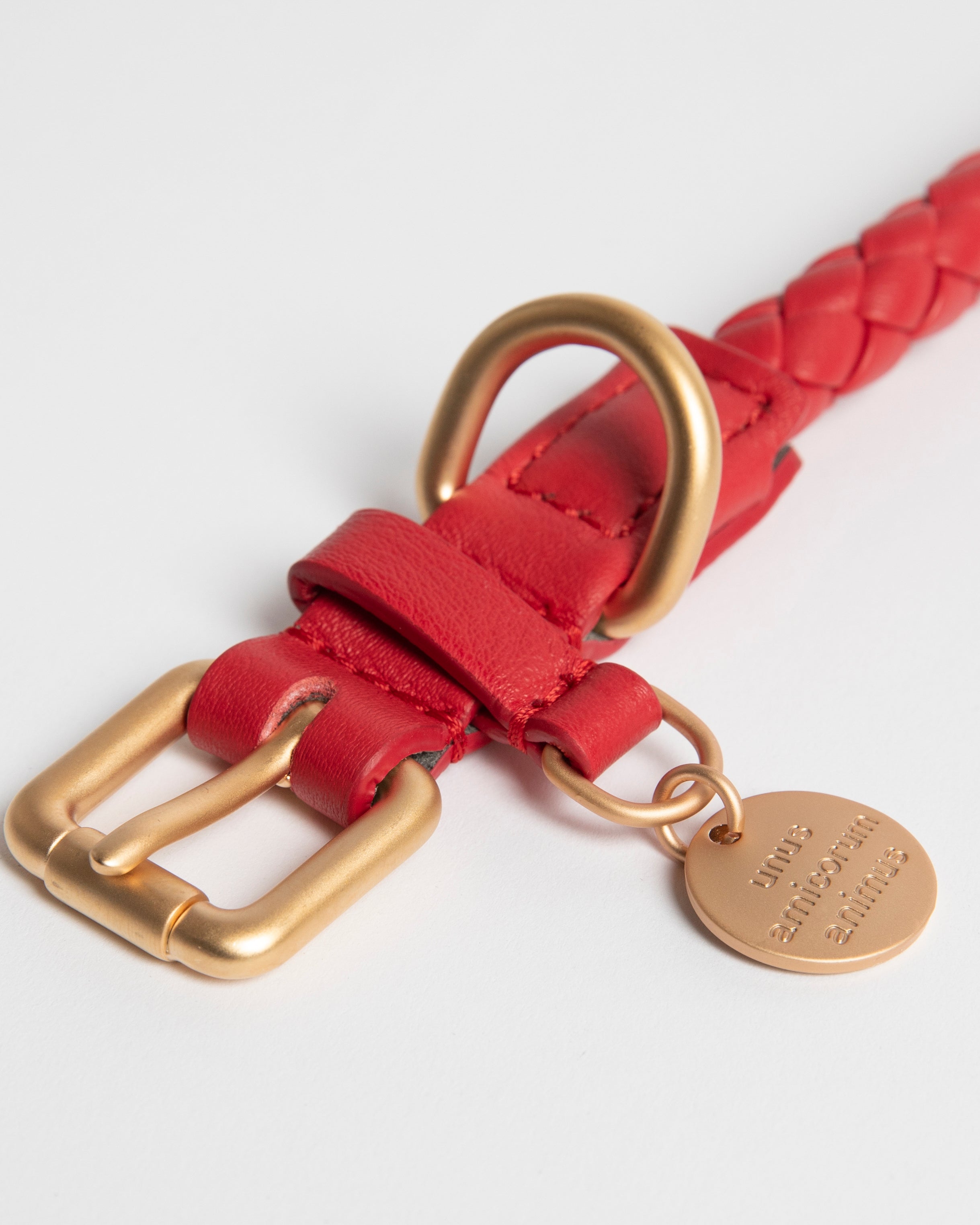 Ferdinando - Braided Leather Collar