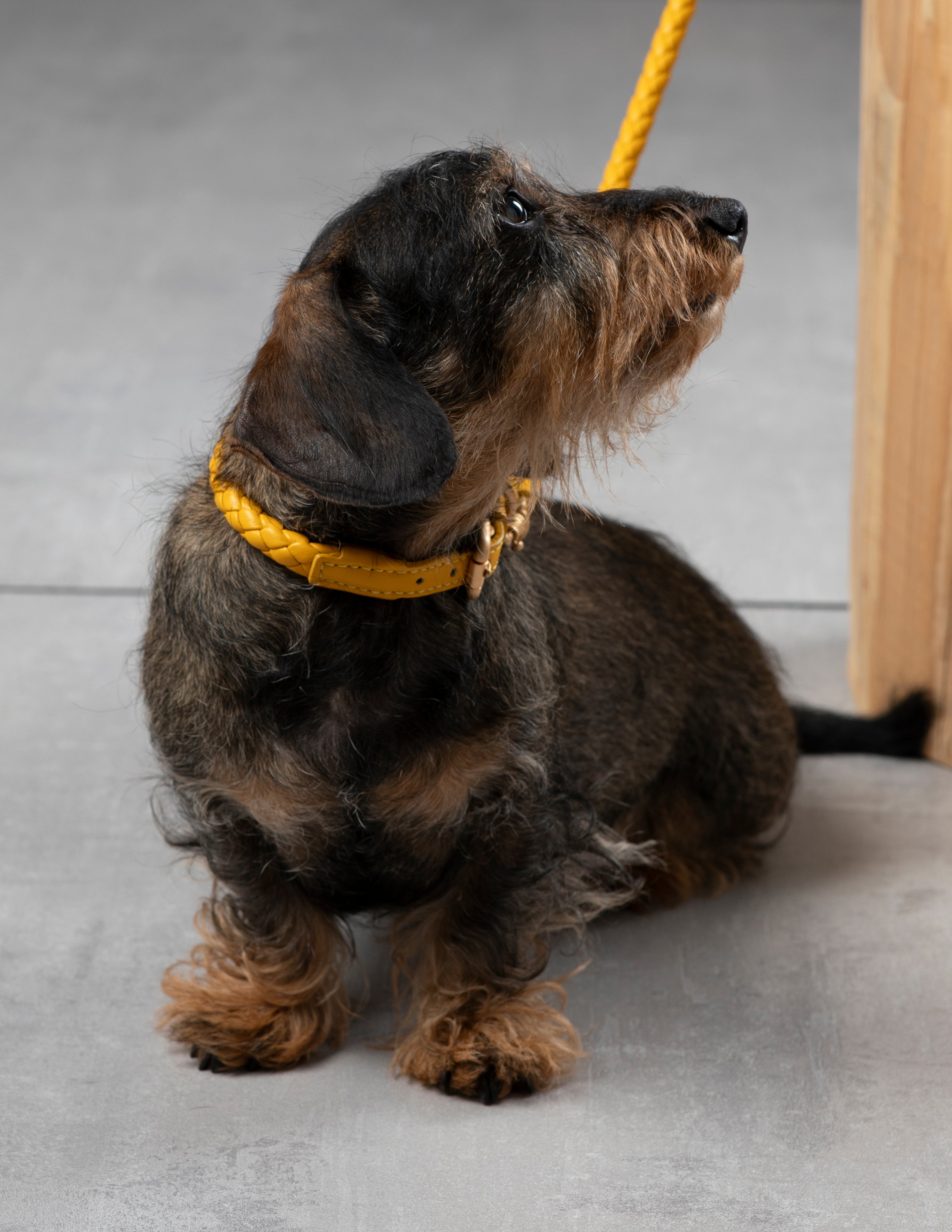 Ferdinando - Braided Leather Collar