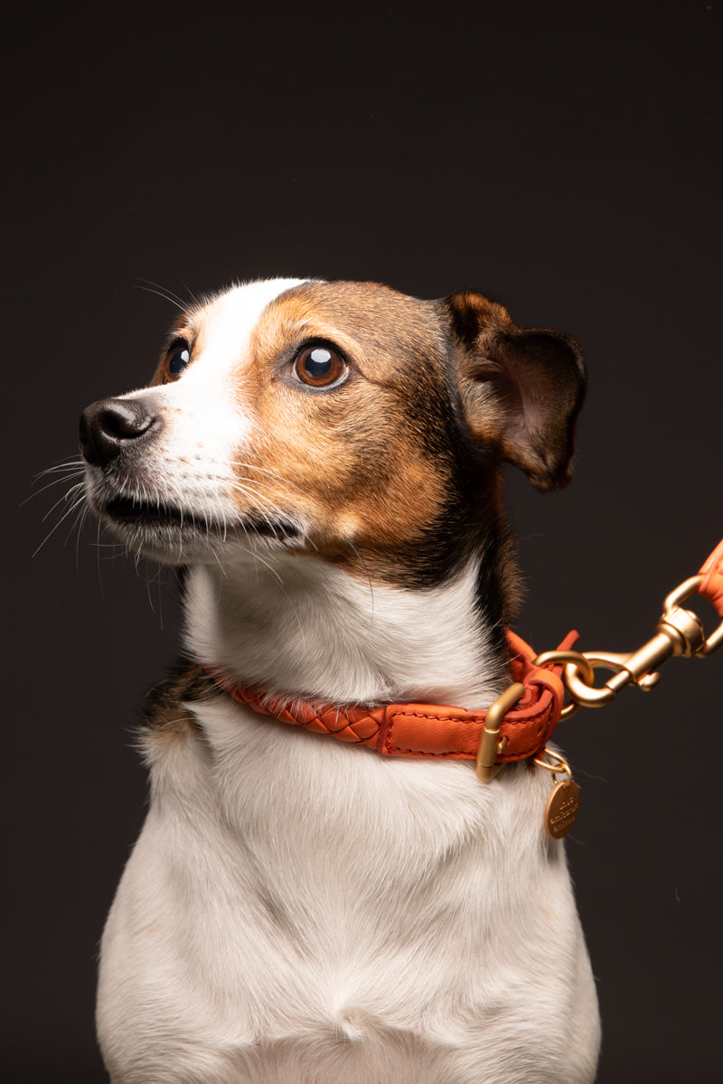 Ferdinando - Braided Leather Collar