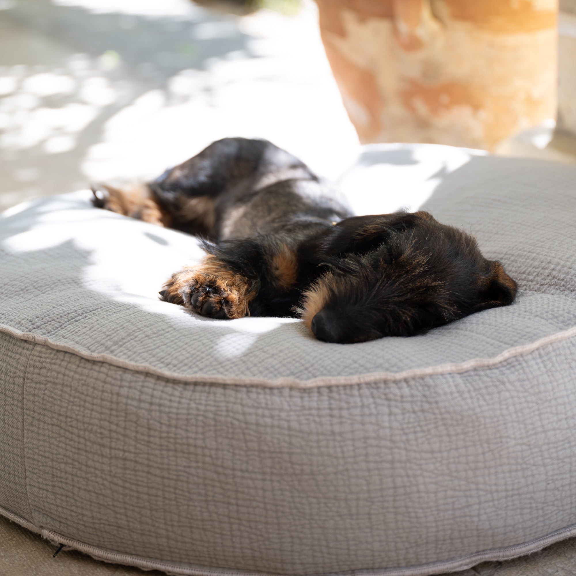 Fulvio – Cuscino per Cani in Cotone Elephant