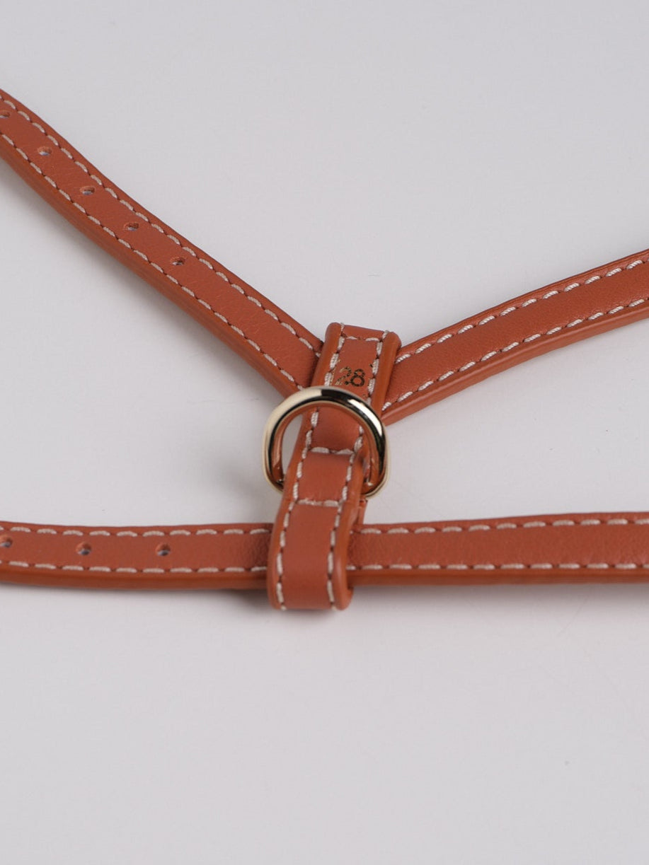 Gabriele - Leather Harness