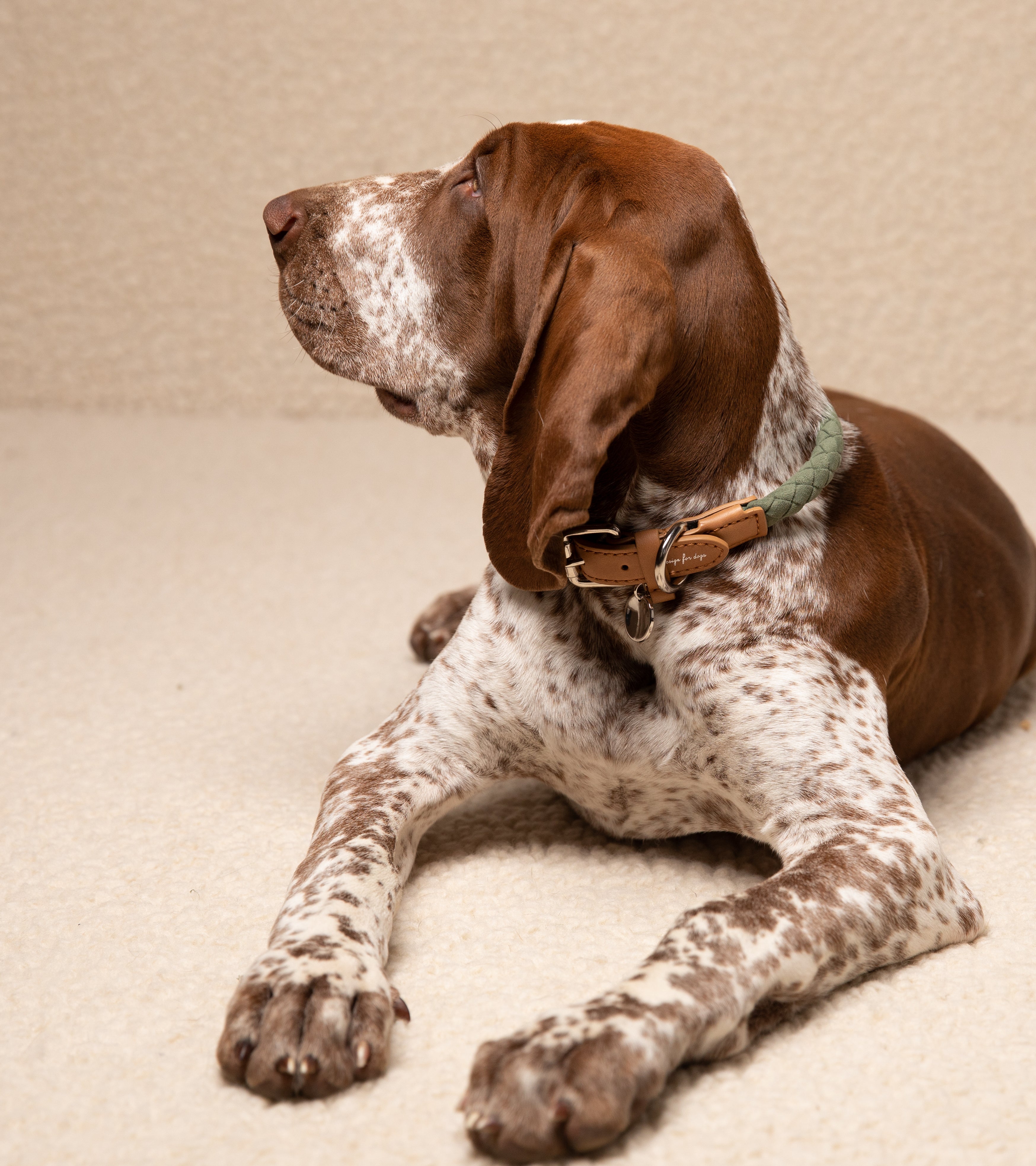 Ferdinando - Collare in Microfibra