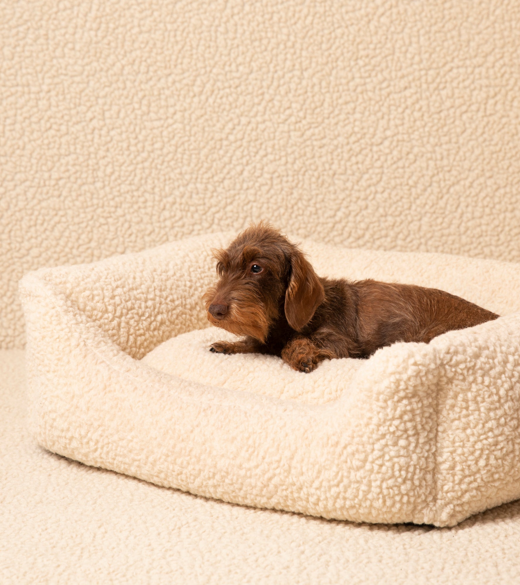 Henri - Bouclé Wool Dog Bed