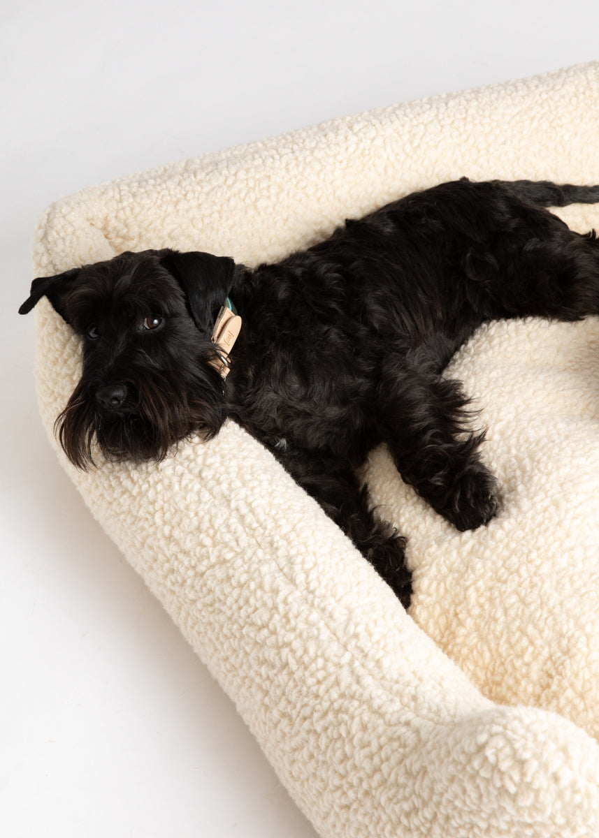 Henri - Bouclé Wool Dog Bed