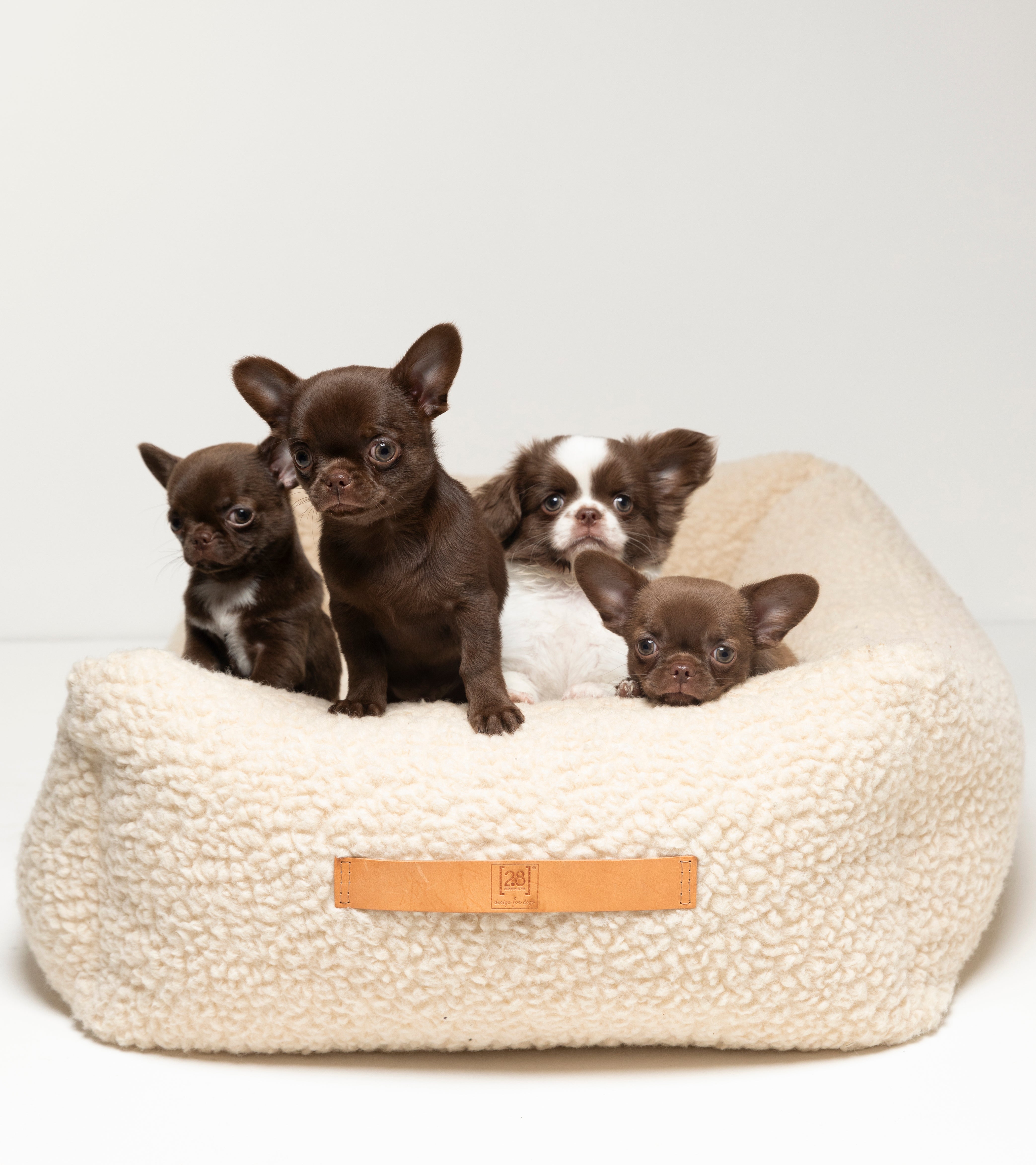 Henri - Bouclé Wool Dog Bed