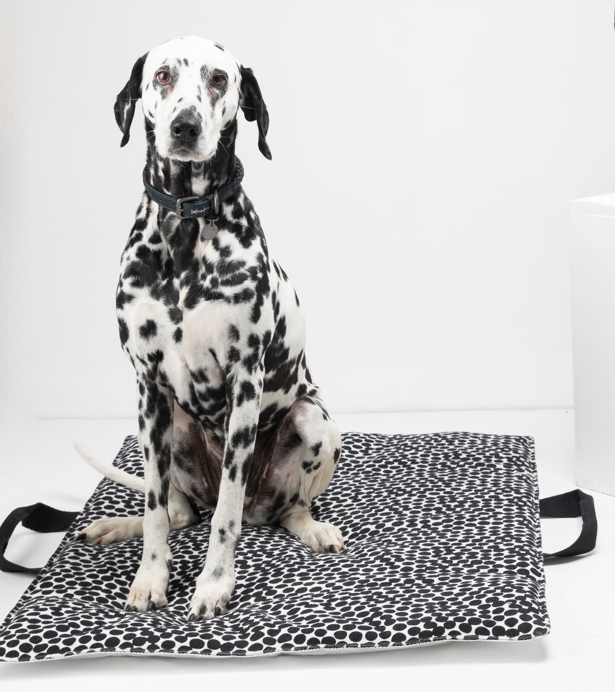 Herb DOTTO di Paola NAVONE - Tappetino da viaggio in carta cerata