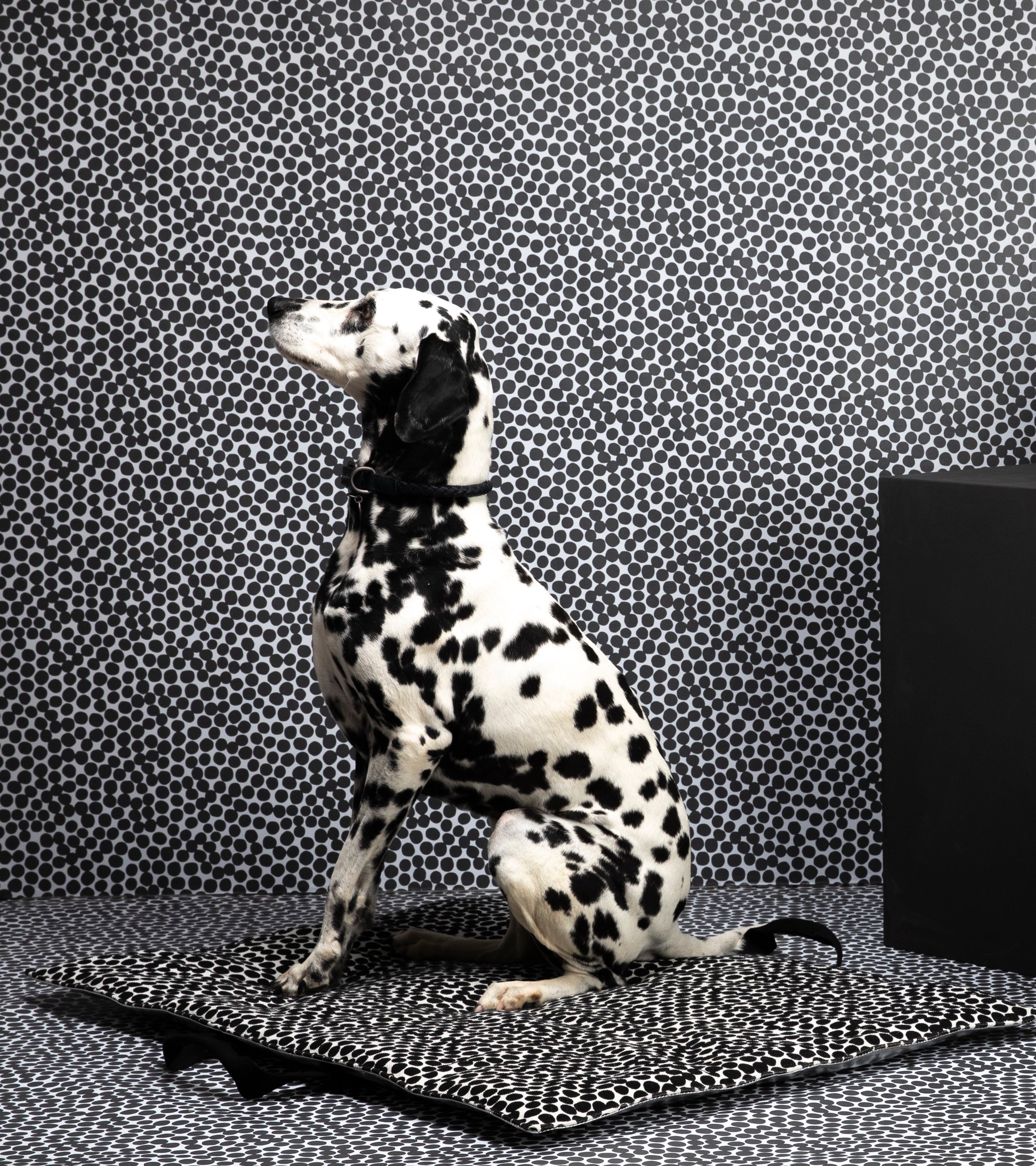 Herb DOTTO di Paola NAVONE - Tappetino da viaggio in carta cerata