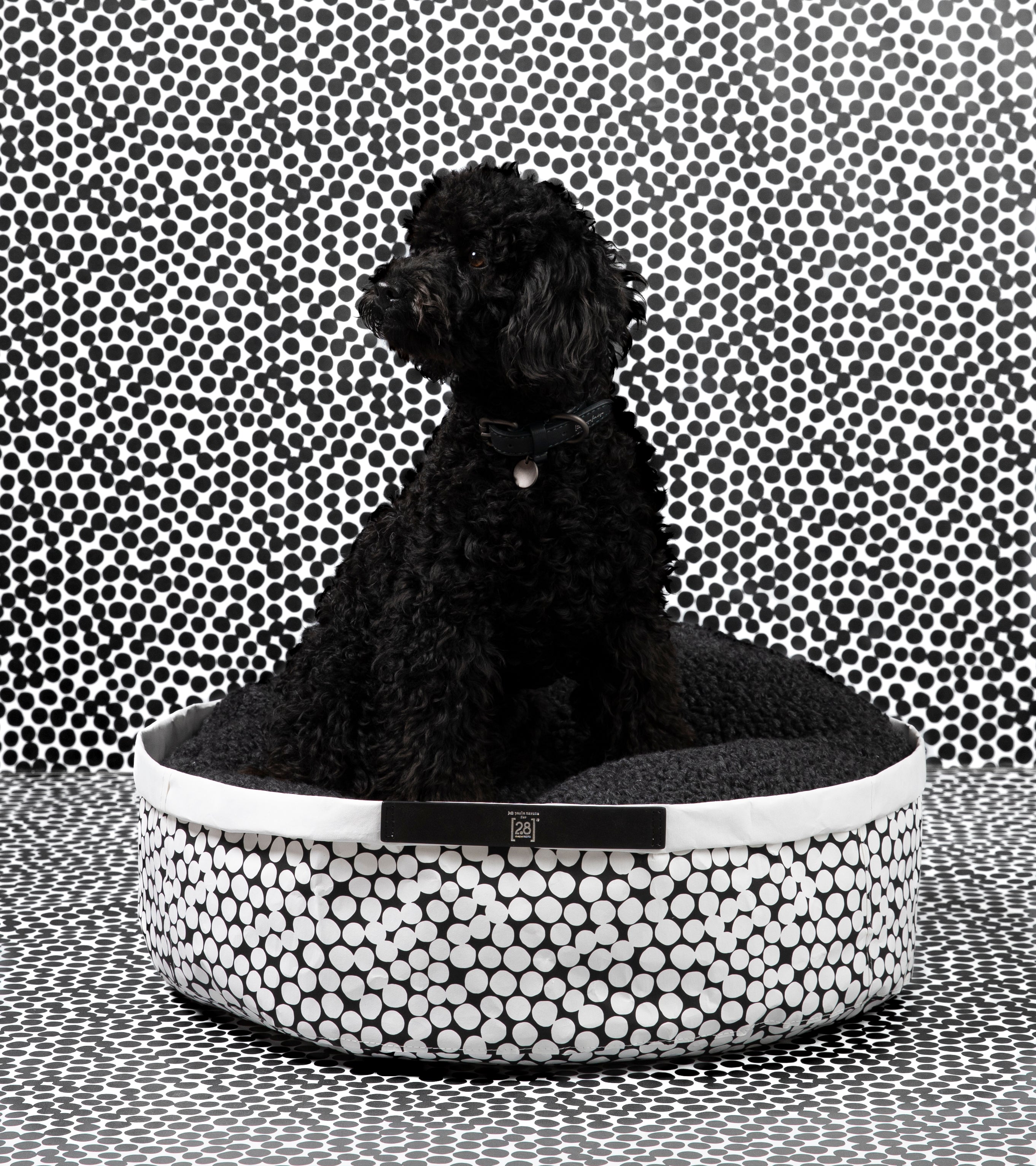 irving-dotto-collection-paola-navone-dog-cuschion_b2df9784-5279-4468-881f-d88f9abc59dd.jpg