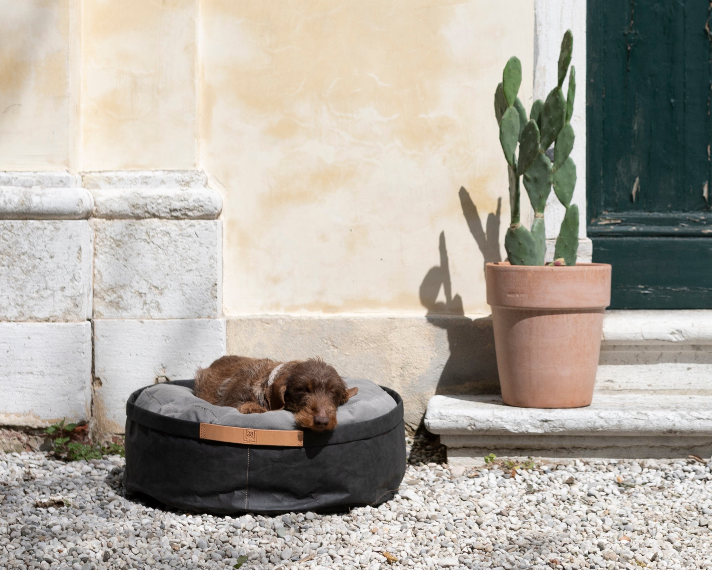 Irving – Cushion in Paper