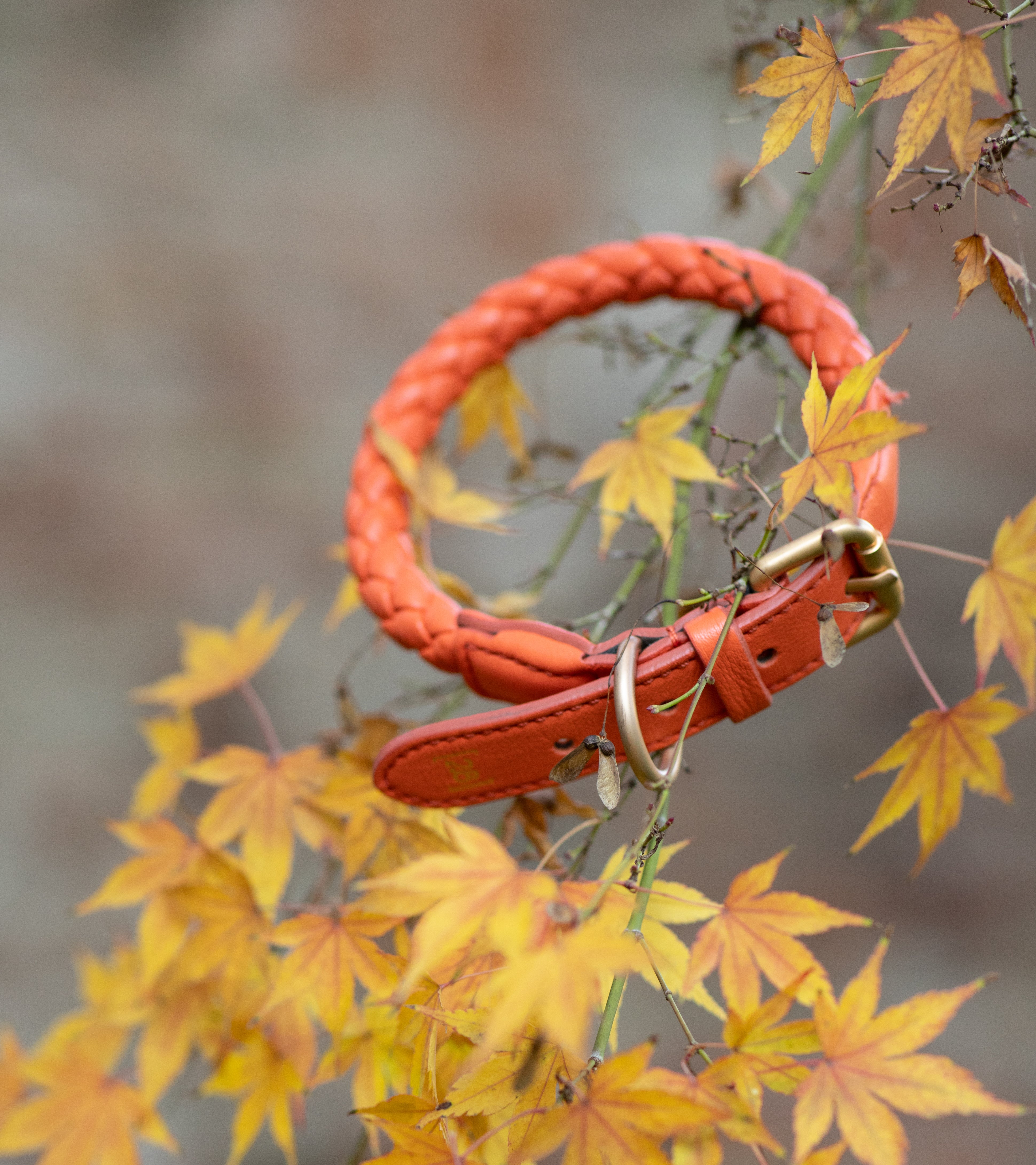 Ferdinando - Braided Leather Collar