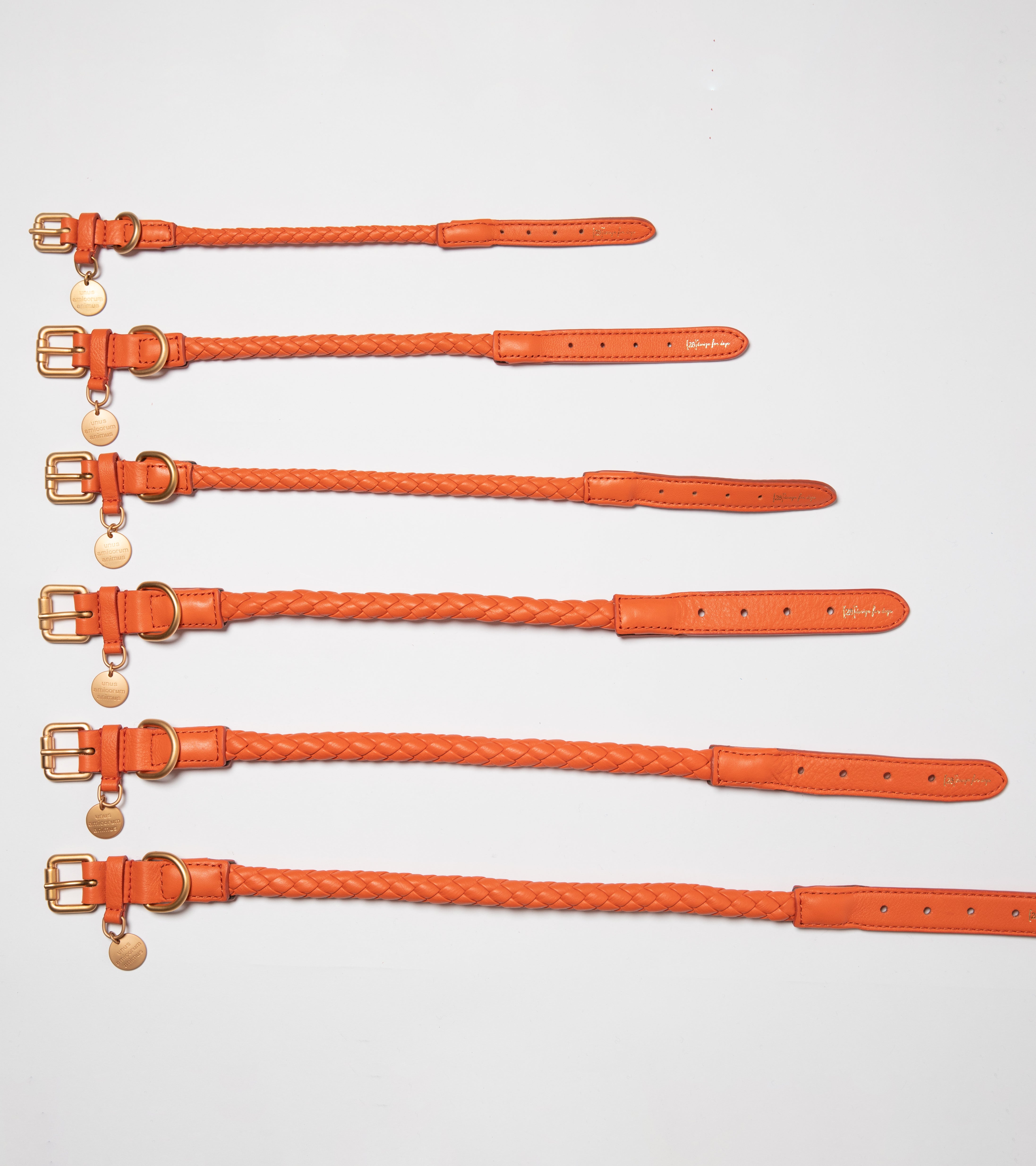 Ferdinando - Braided Leather Collar