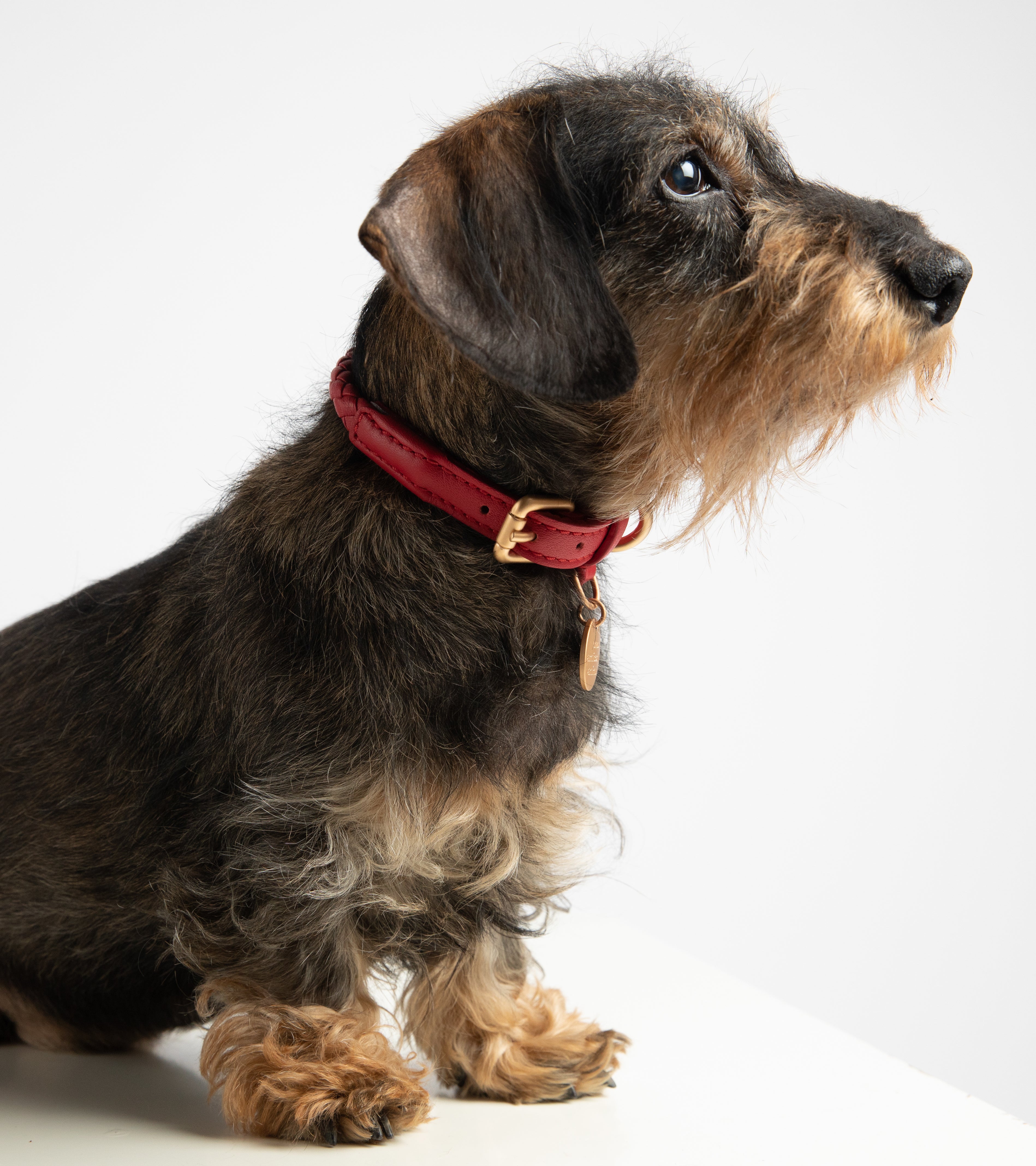 Ferdinando - Braided Leather Collar