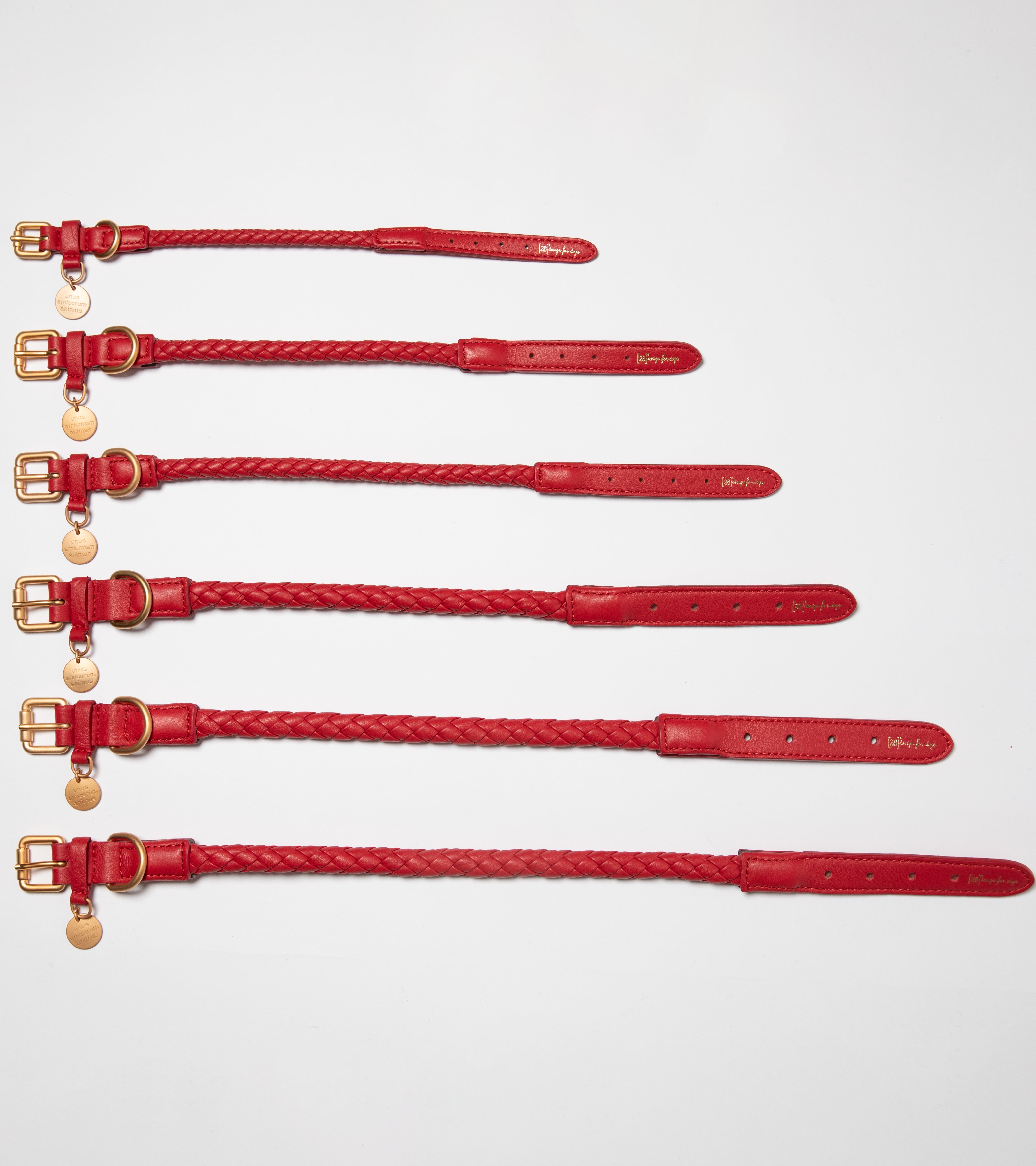 Ferdinando - Braided Leather Collar