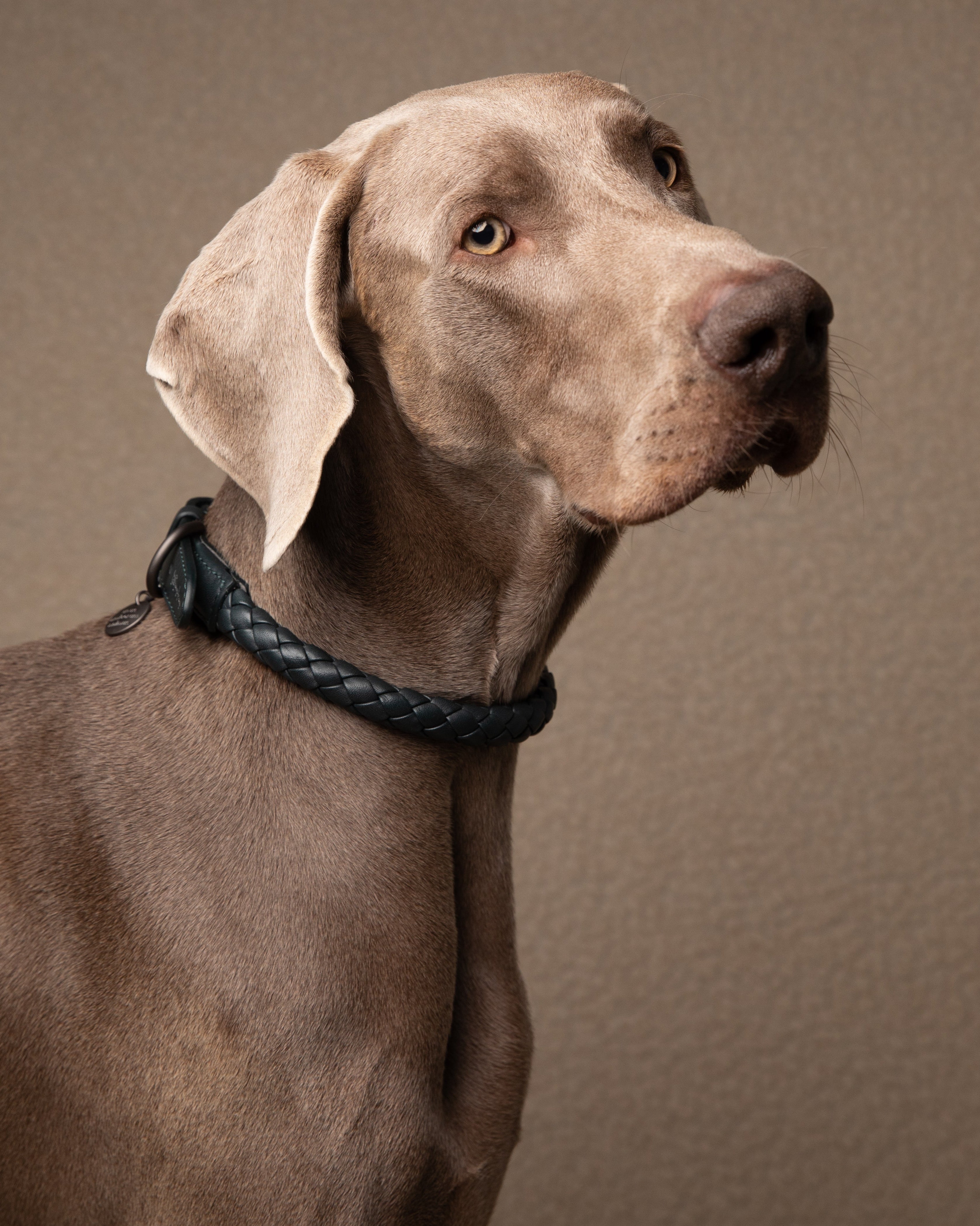 Ferdinando - Dark Hardware Braided Leather Collars