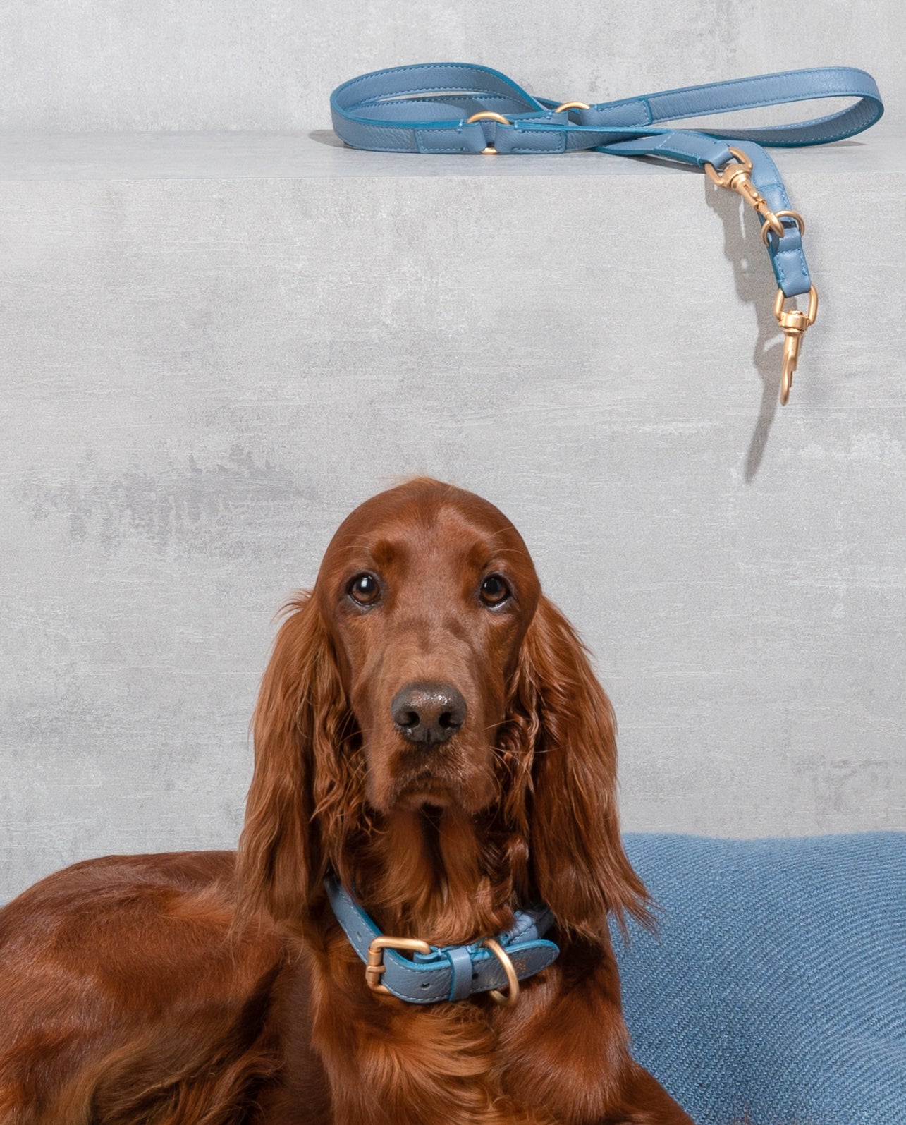 Mario - Nappa Leather Leash