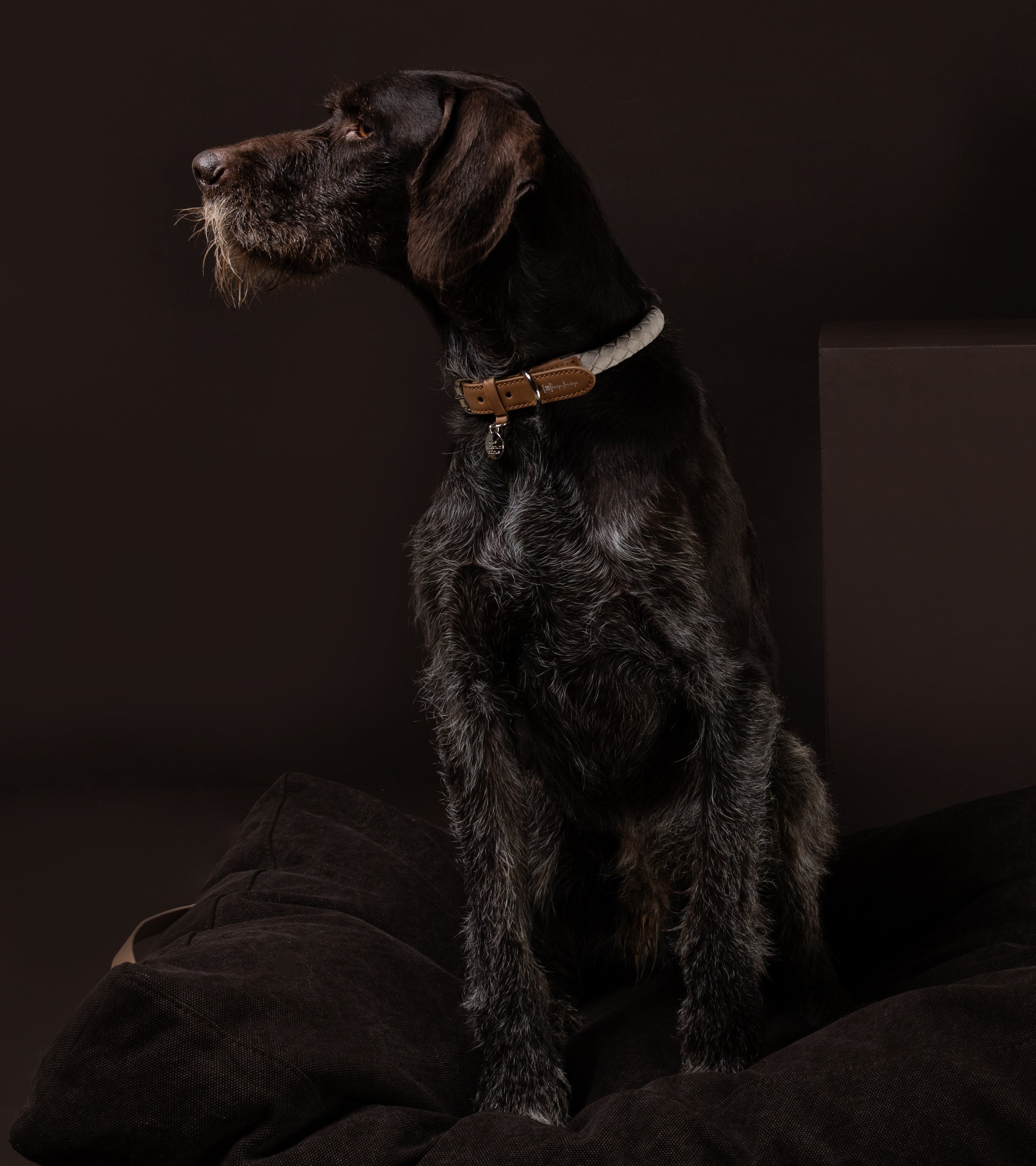 Ferdinando - Collare in Microfibra