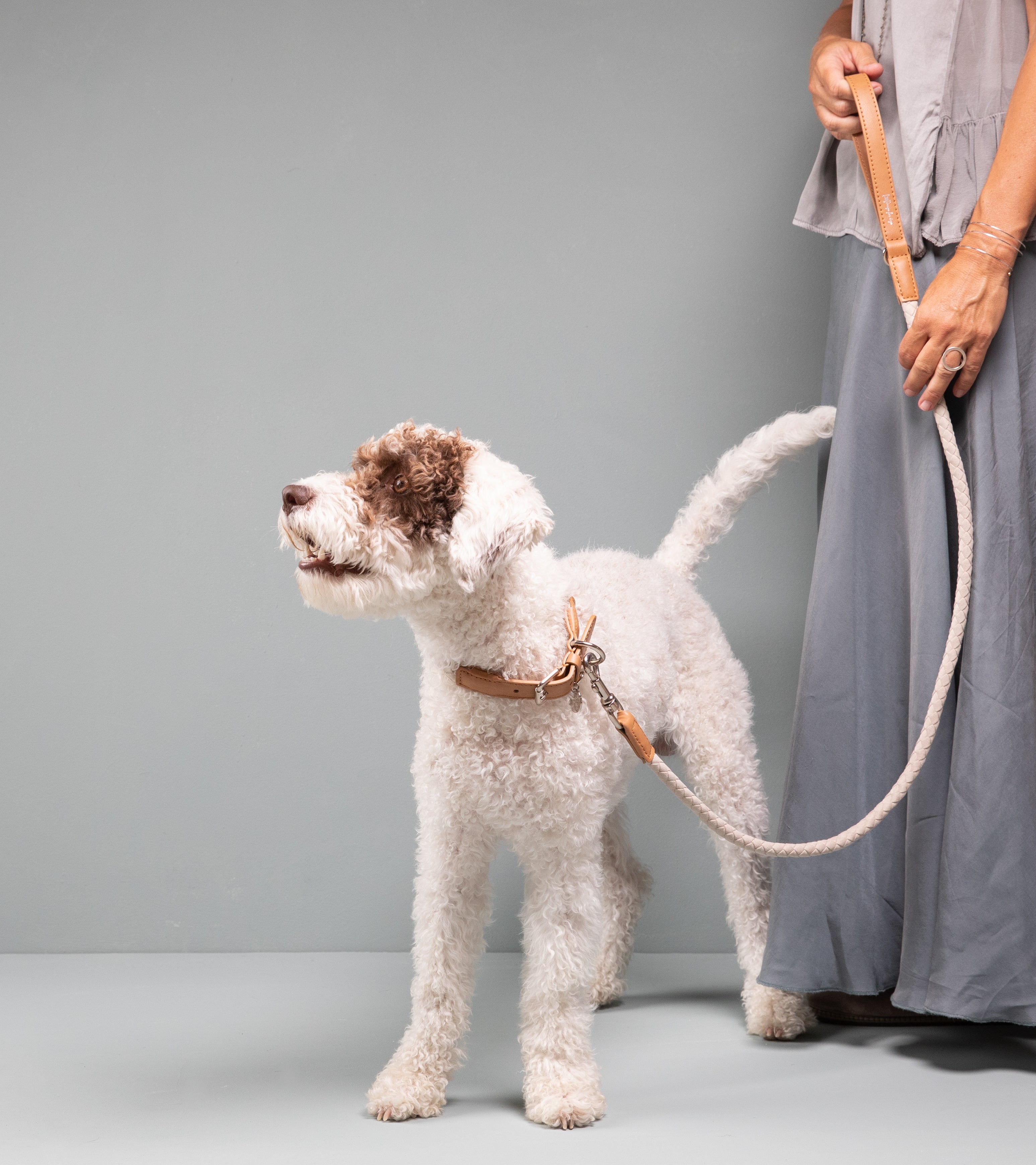 Ferdinando - Microfiber leash
