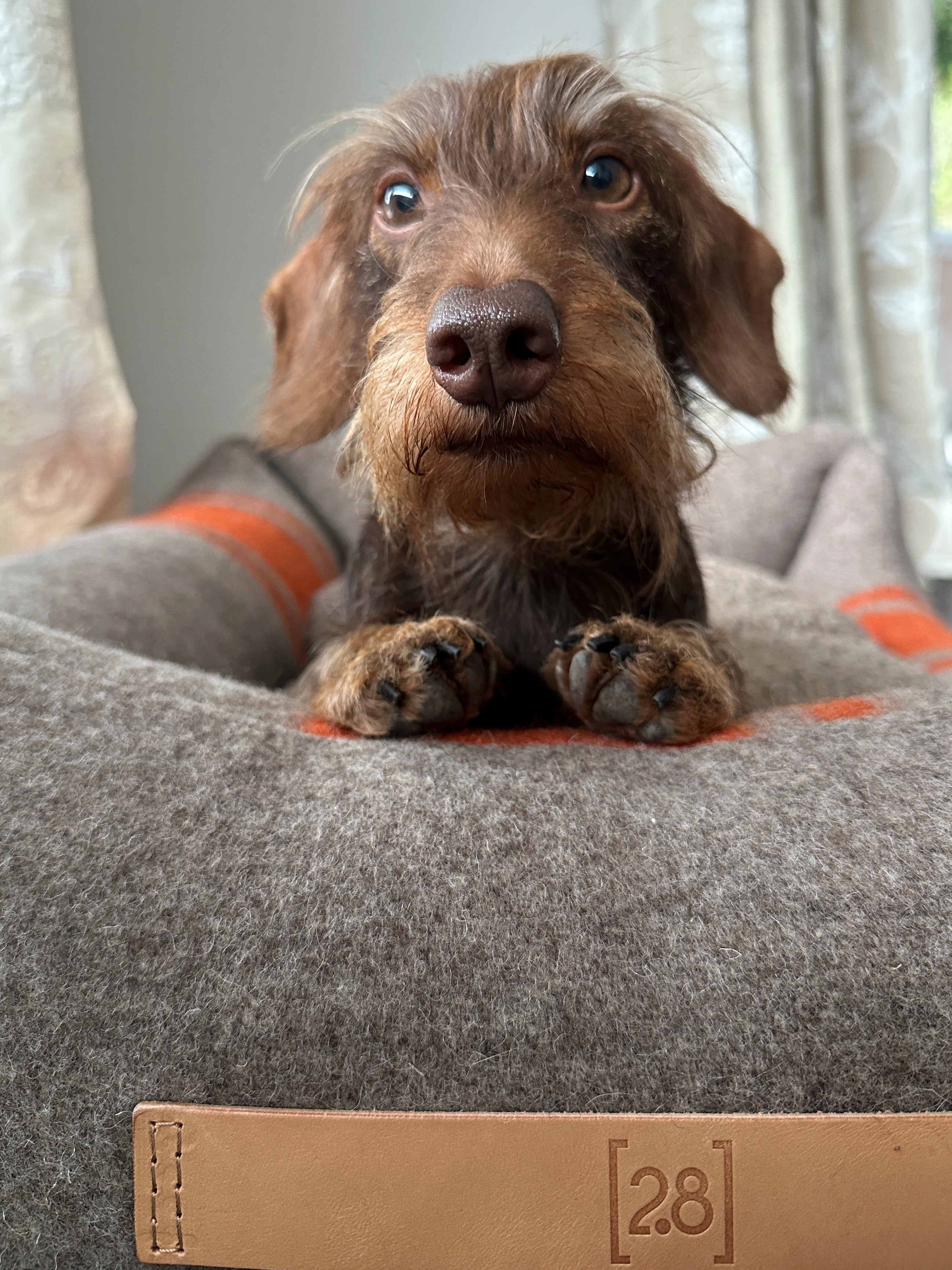 Henri - Cuccia in Lana Riciclata