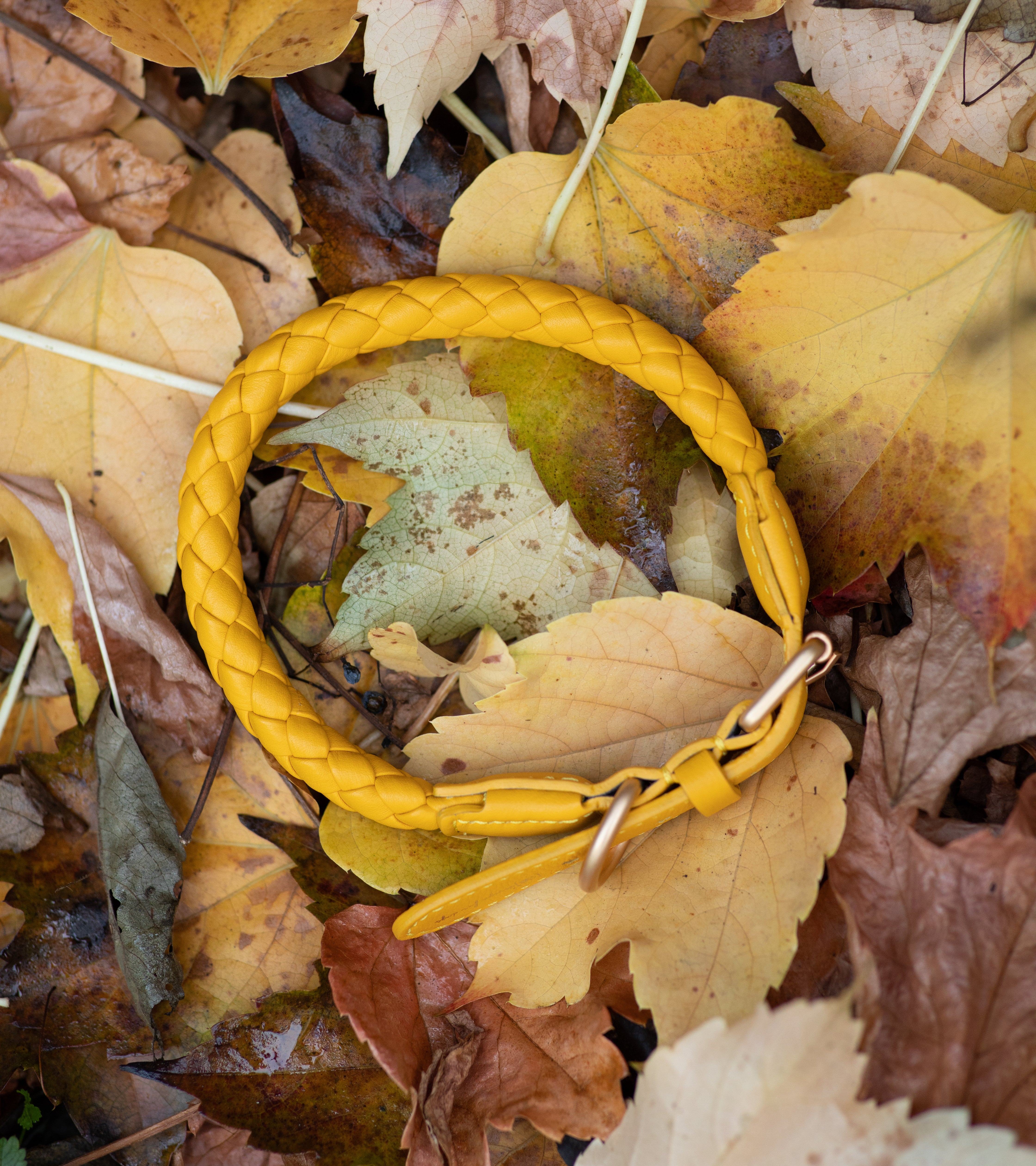 Ferdinando - Braided Leather Collar