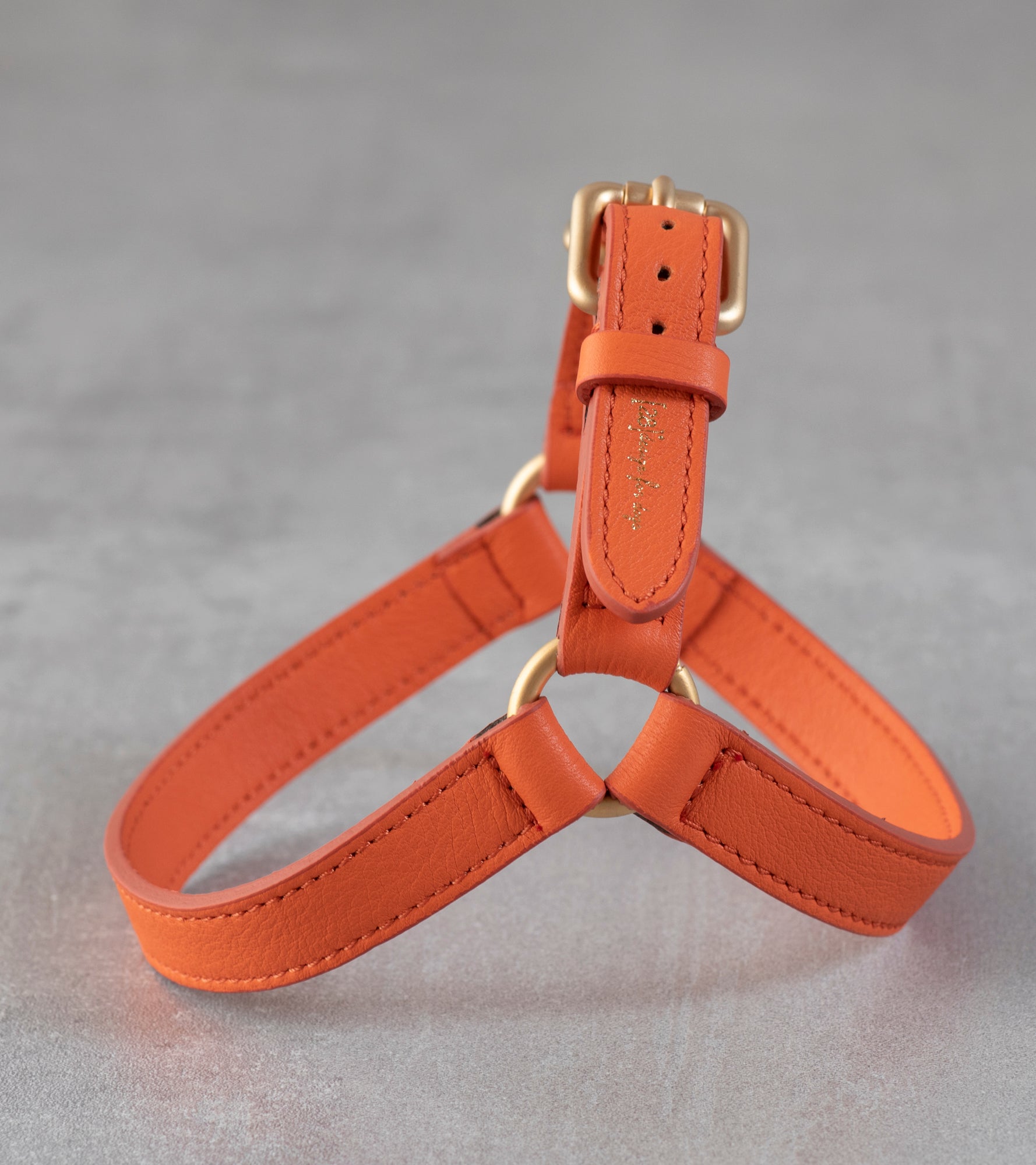 Mario – Step-In Leather Dog Harness