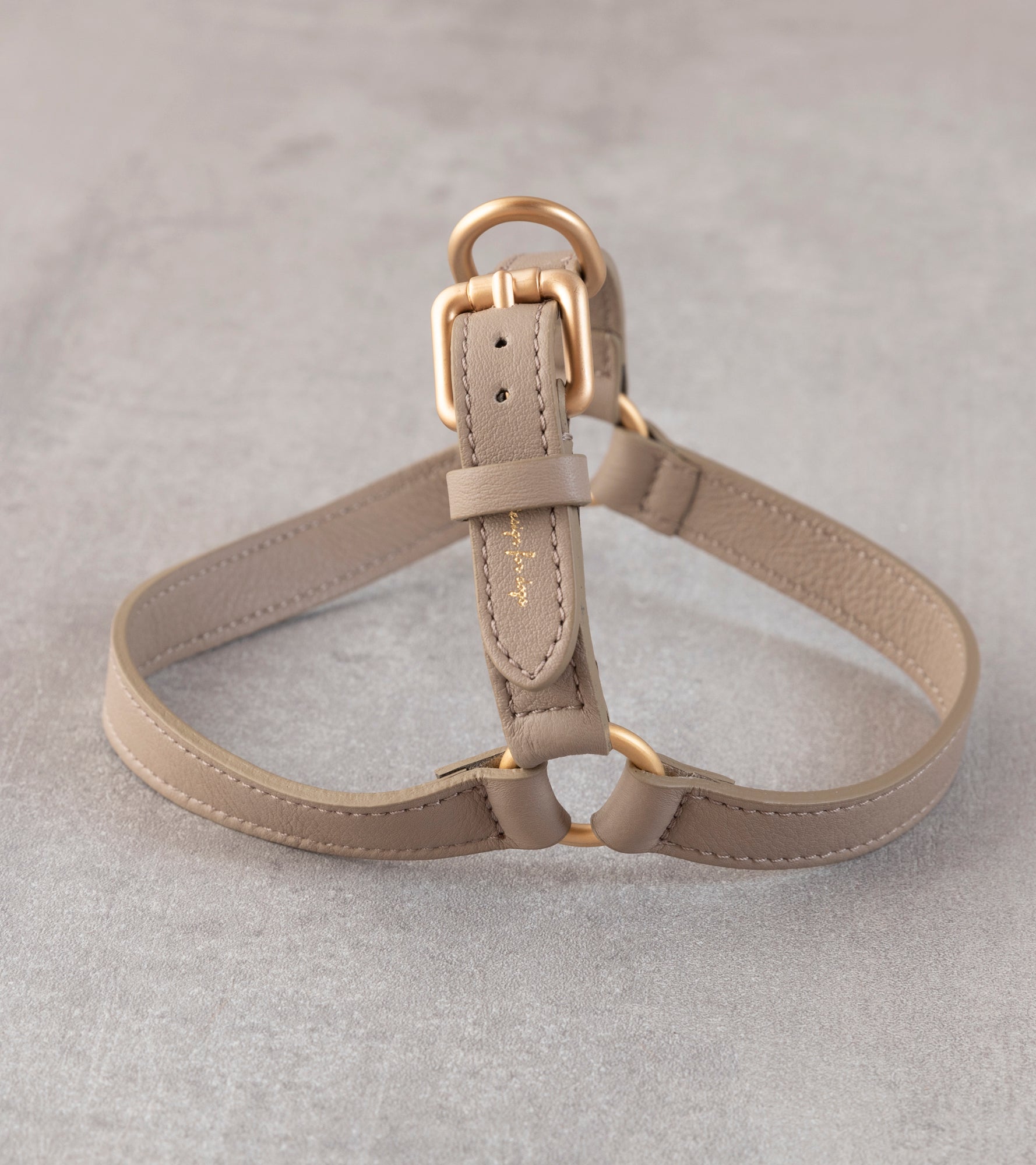 Mario - Pettorina in pelle