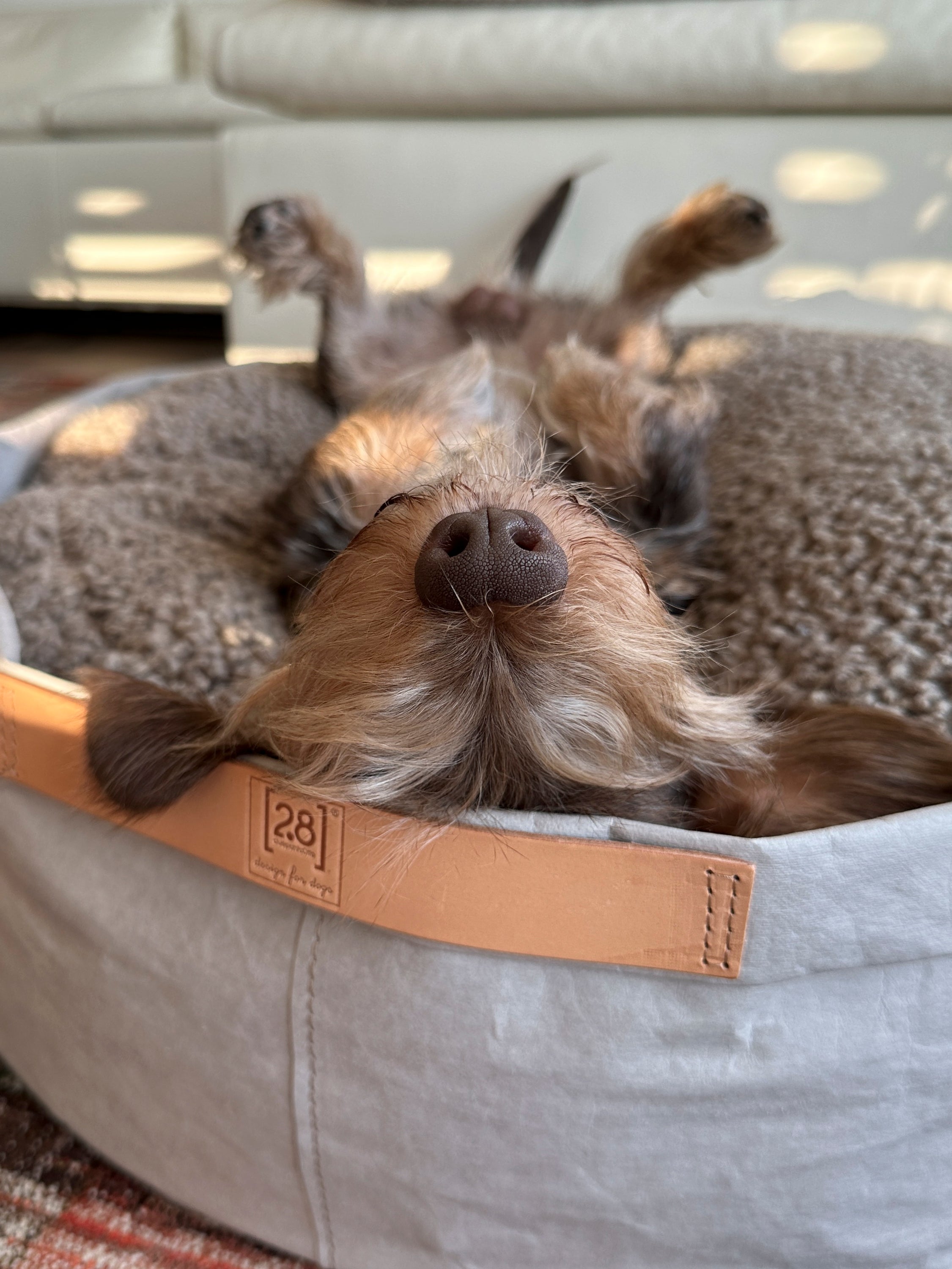 Irving – Cuscino in carta