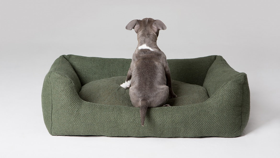 When in doubt, go for green!