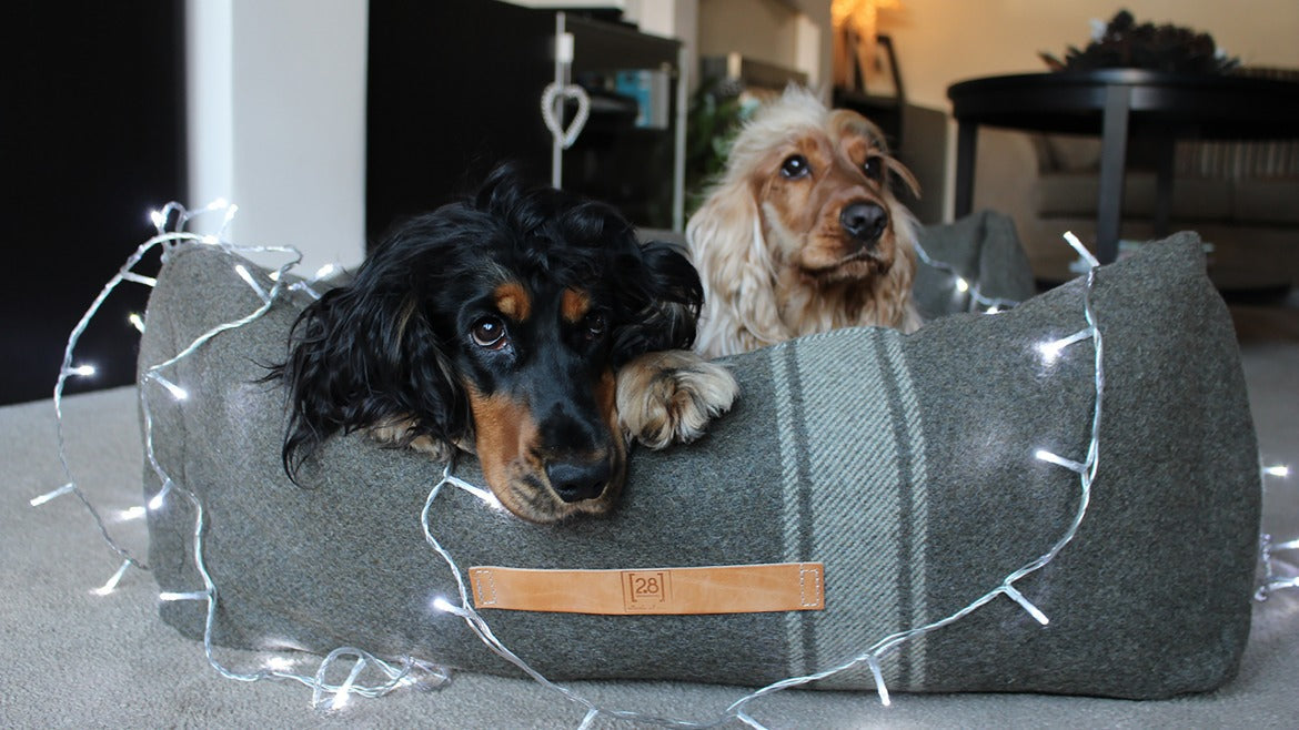 Prato Carded Wool: Old Fabric, New Life