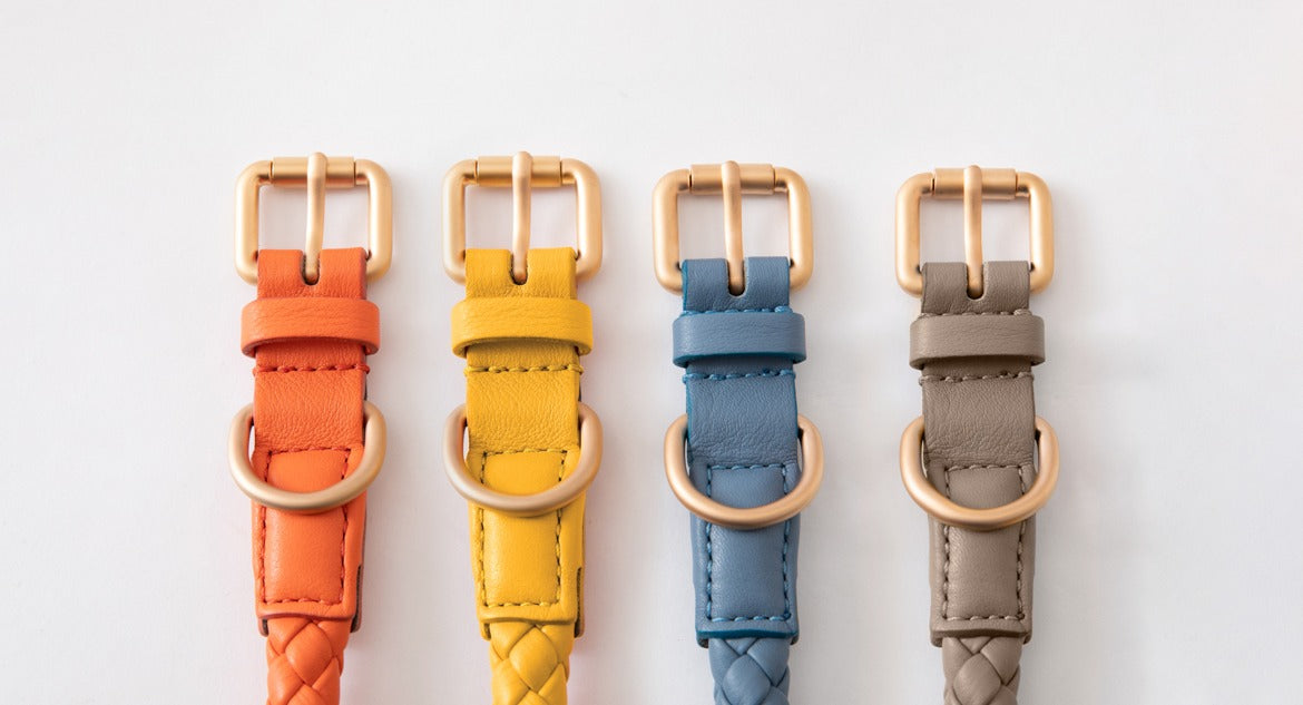 Our New Collection of Collars and Leashes Has Arrived!