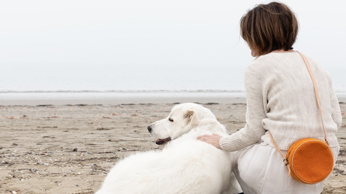 The New Casentino Collection by 2.8 Design for Dogs