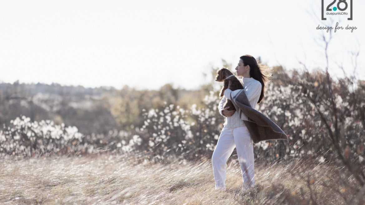 New Year, New Projects