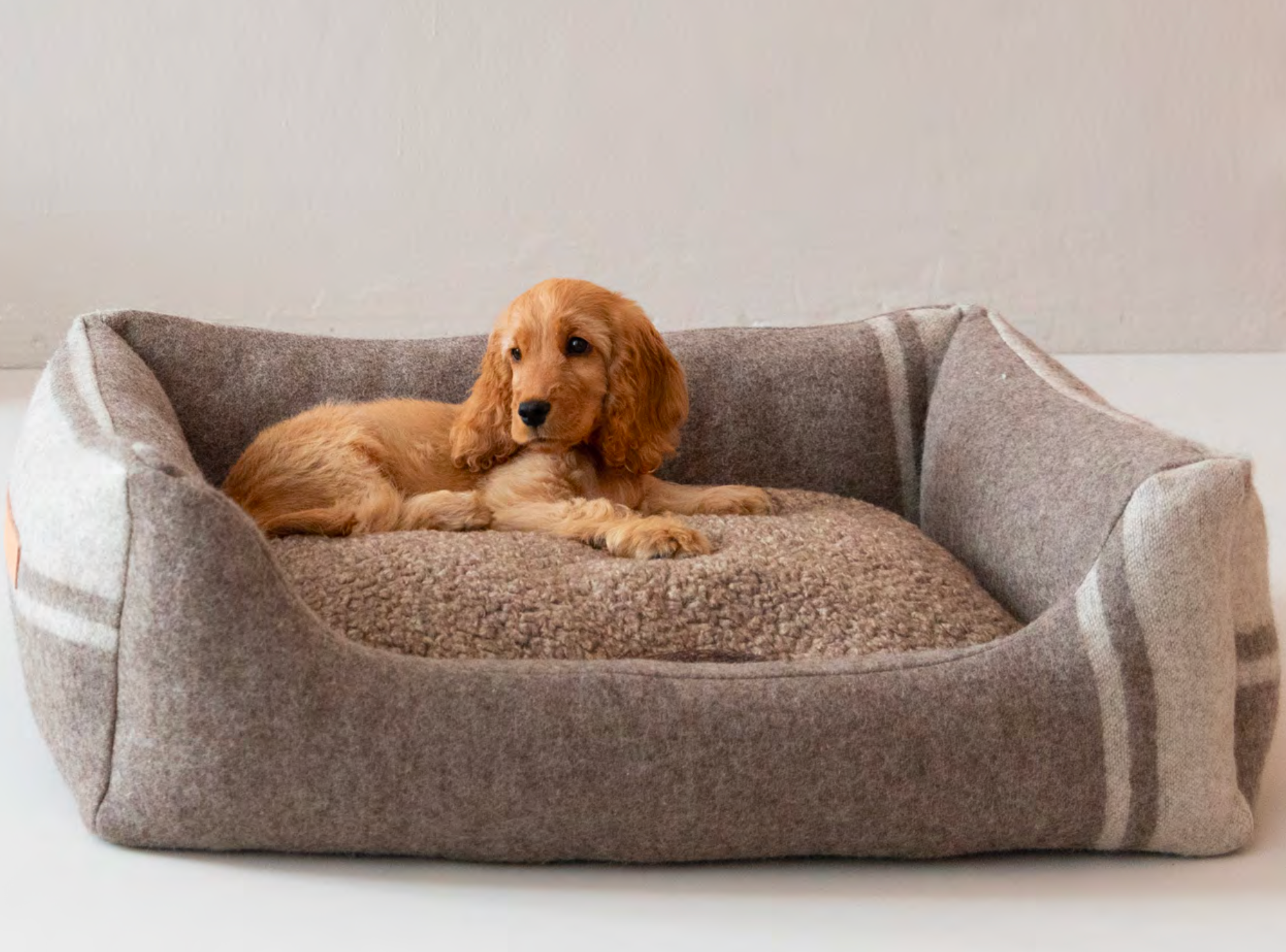 Selecting the Perfect Dog Bed in 2024