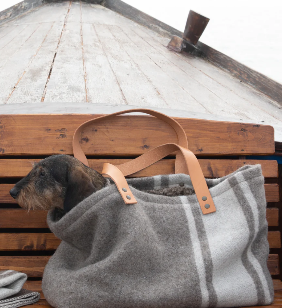 Carry Your Dog in Style: The Most Fashionable Luxury Bags of 2024