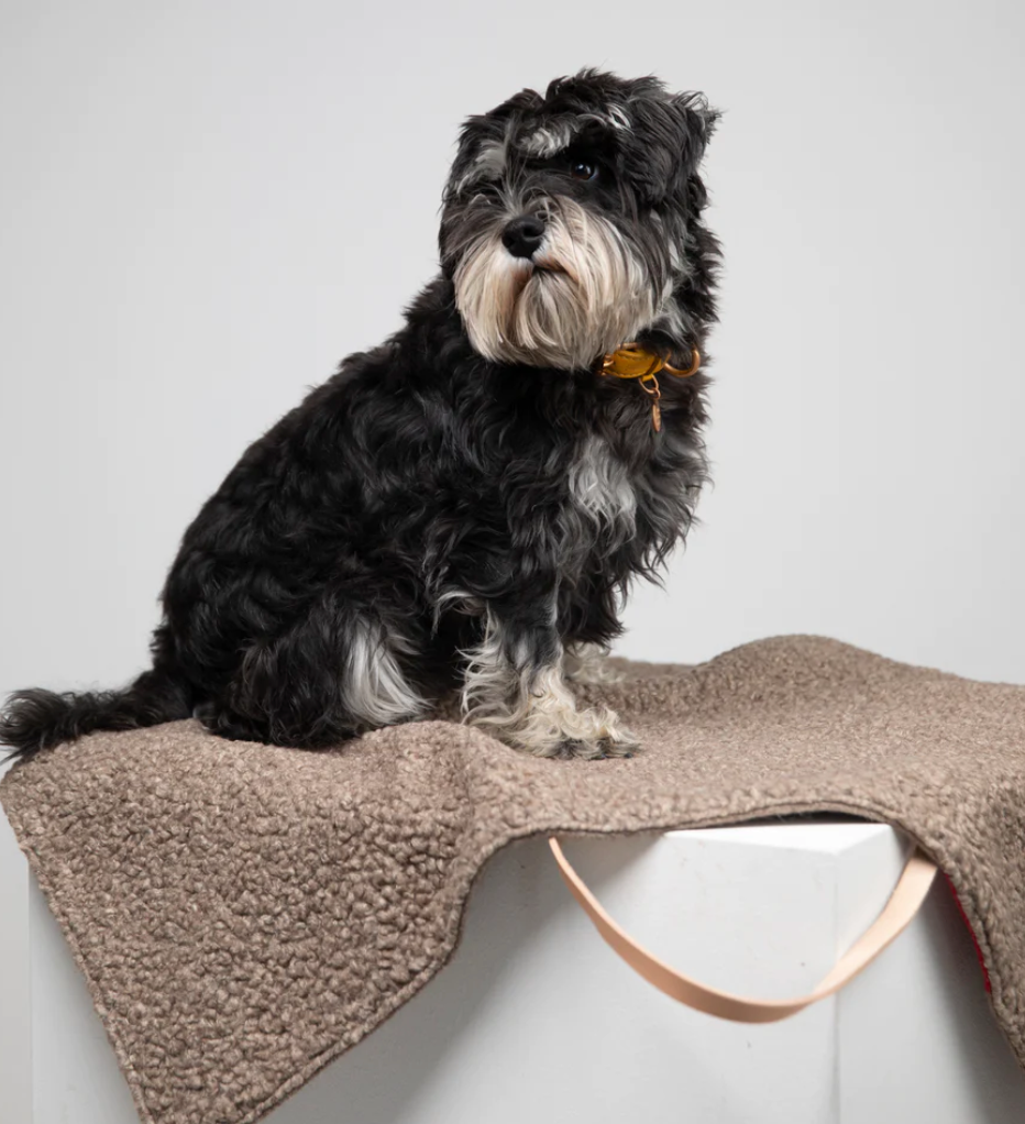 Cuddles and Comfort: Discover the Luxury Travel Mat for Dogs